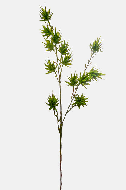 35" Aloe Vera Spray Green