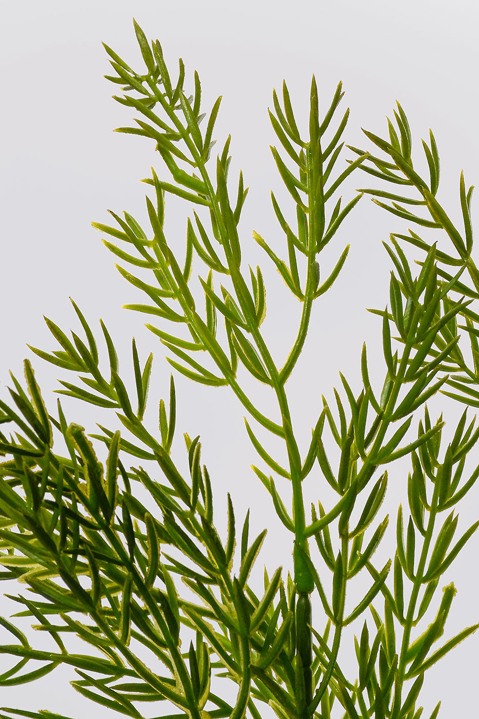 22" Artificial Grass Bush Green