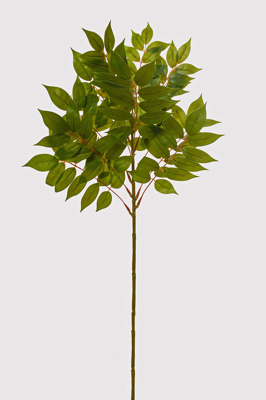 33.5" Toona Leaf Spray Green