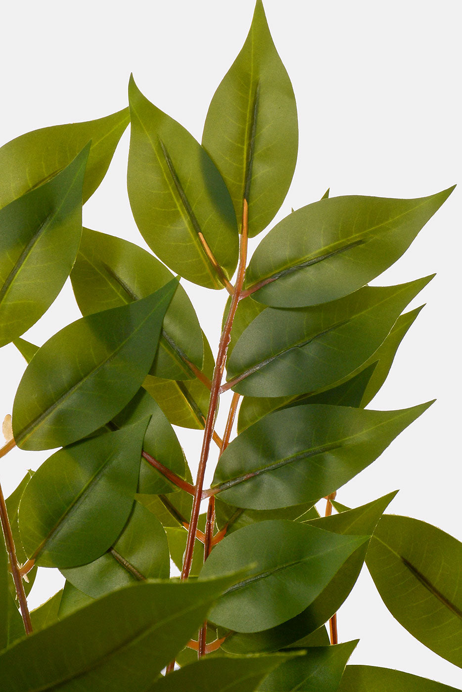 33.5" Toona Leaf Spray Green