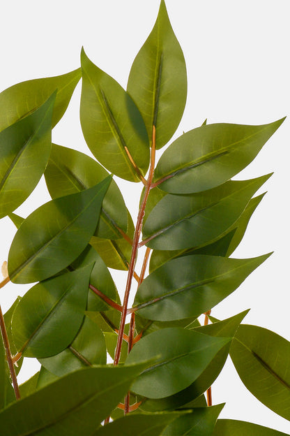 33.5" Toona Leaf Spray Green