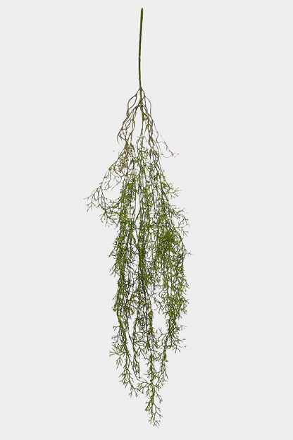 40" Cedar Hanging Bush Green
