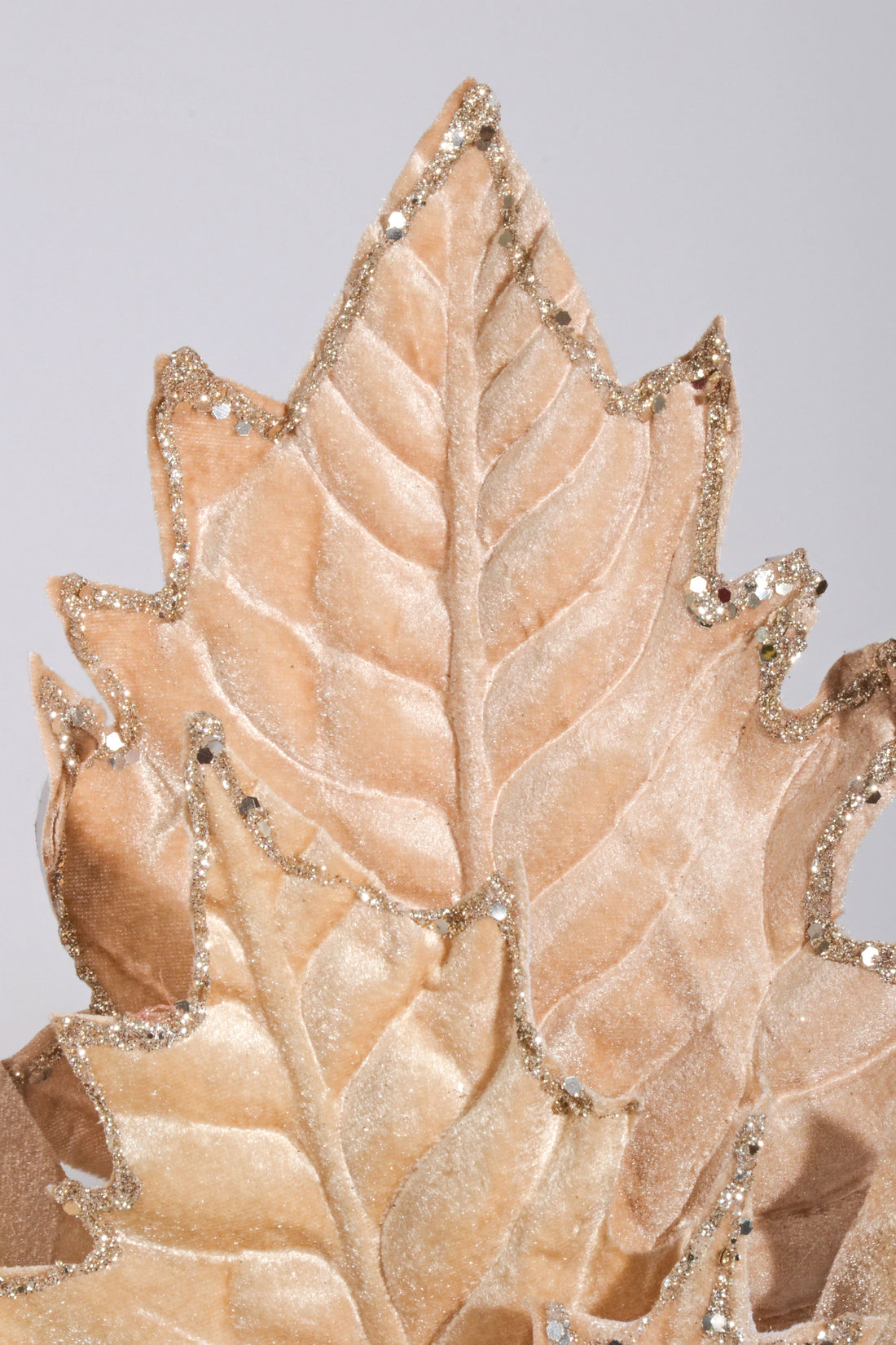 34" Poinsettia Stem Champagne