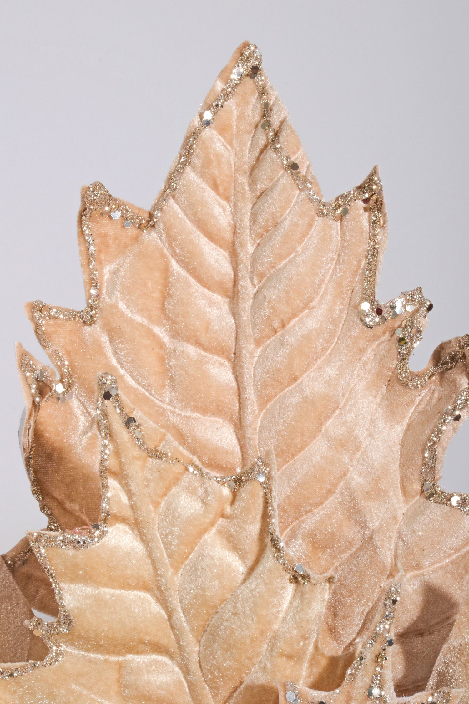 34" Poinsettia Stem Champagne