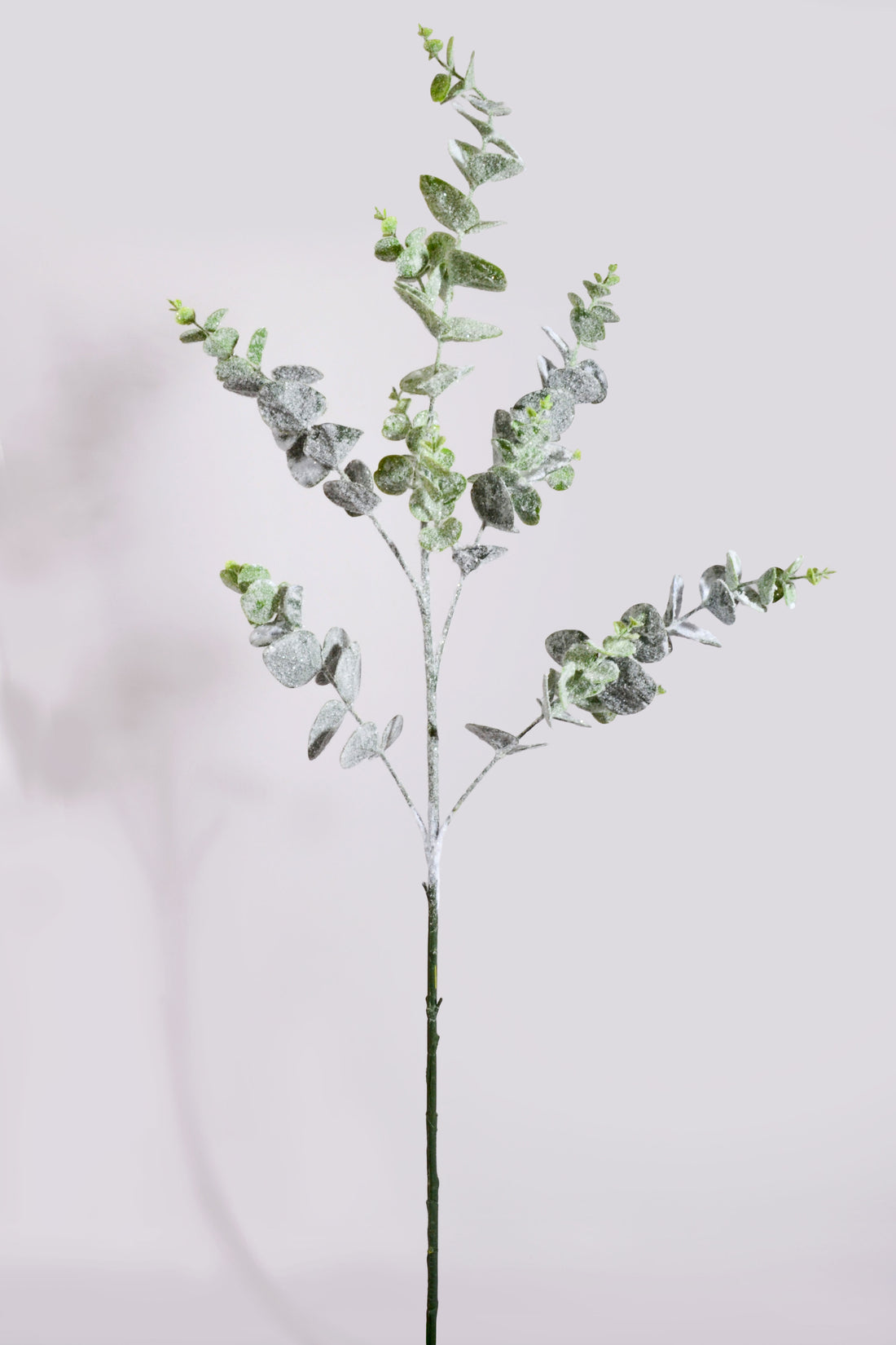 41" Eucalyptus Snow Spray White/Green