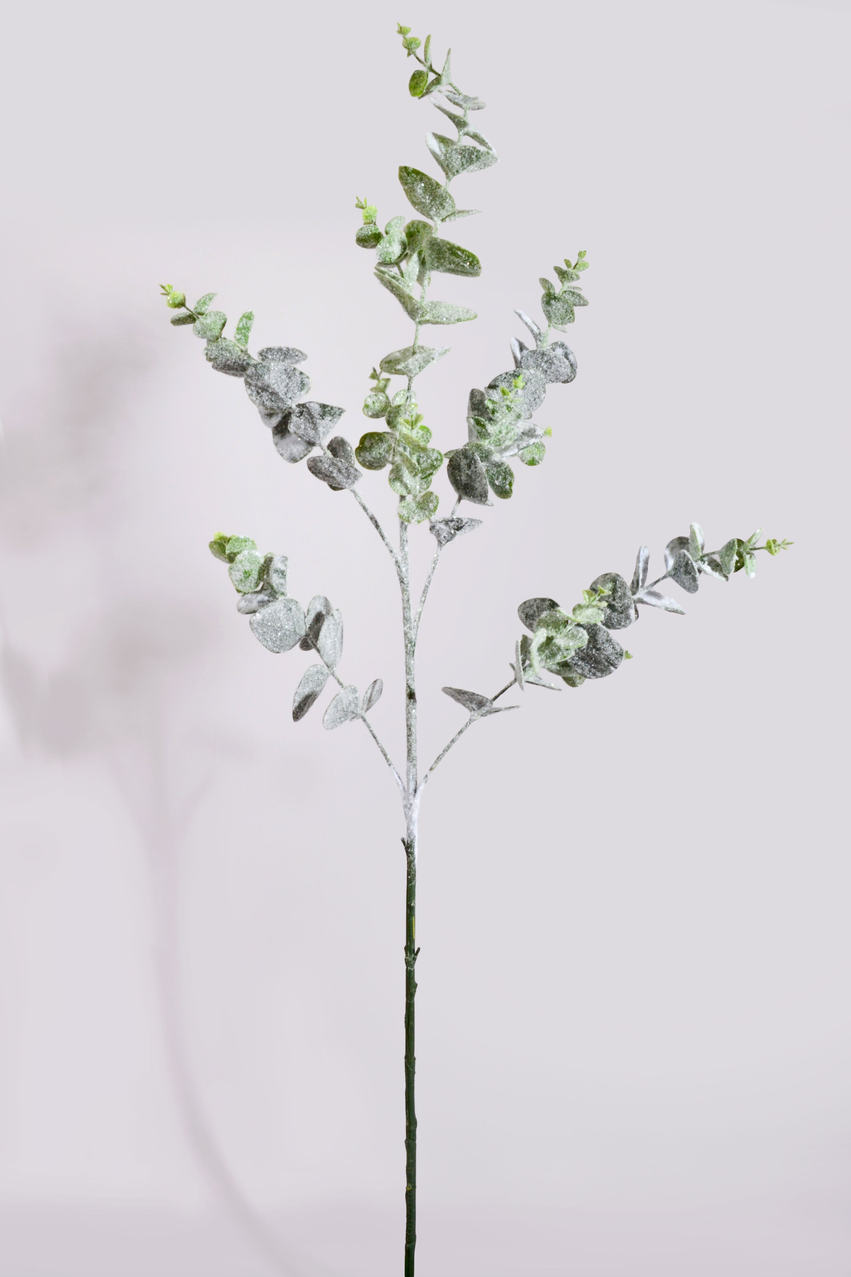 41" Eucalyptus Snow Spray White/Green