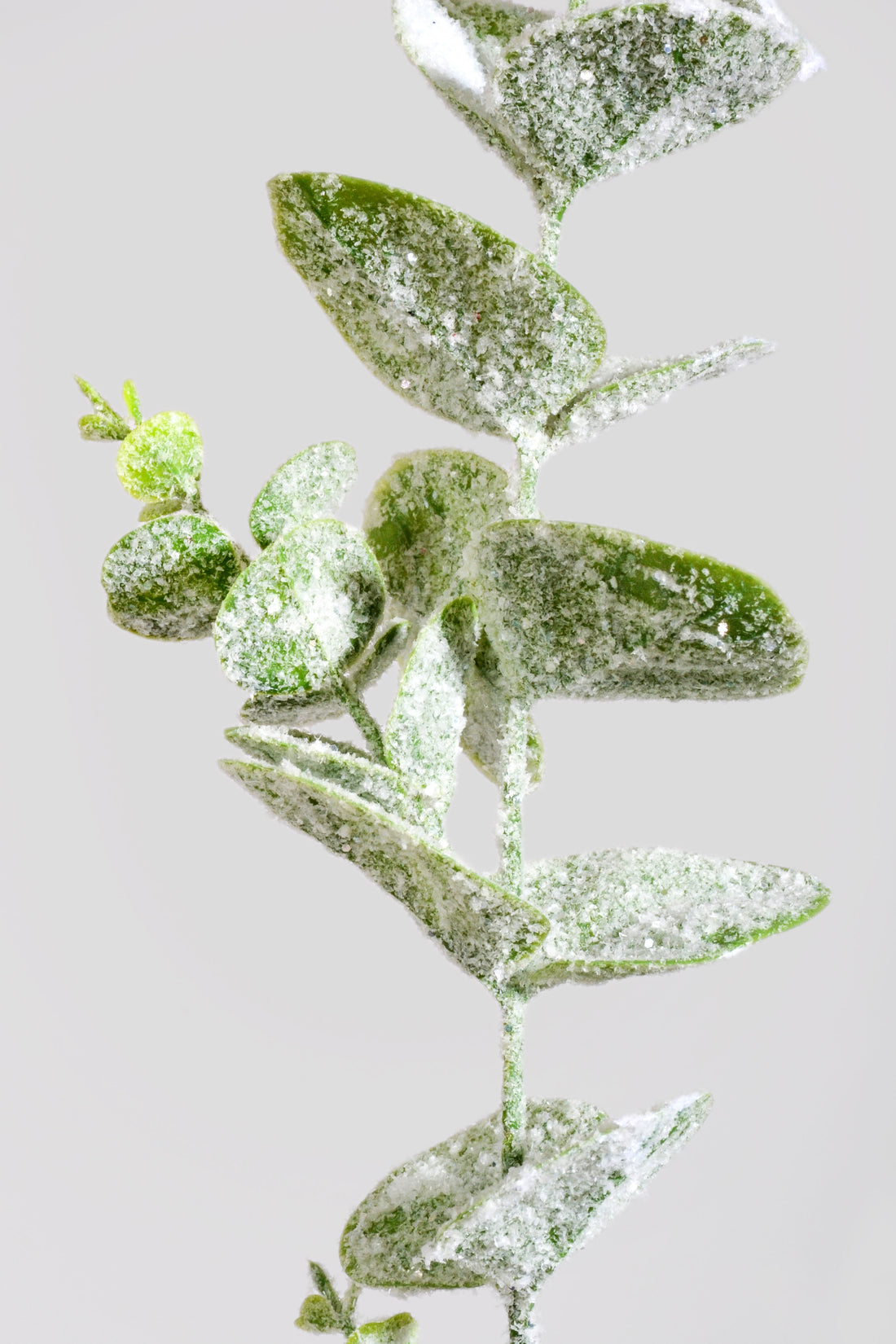 41" Eucalyptus Snow Spray White/Green