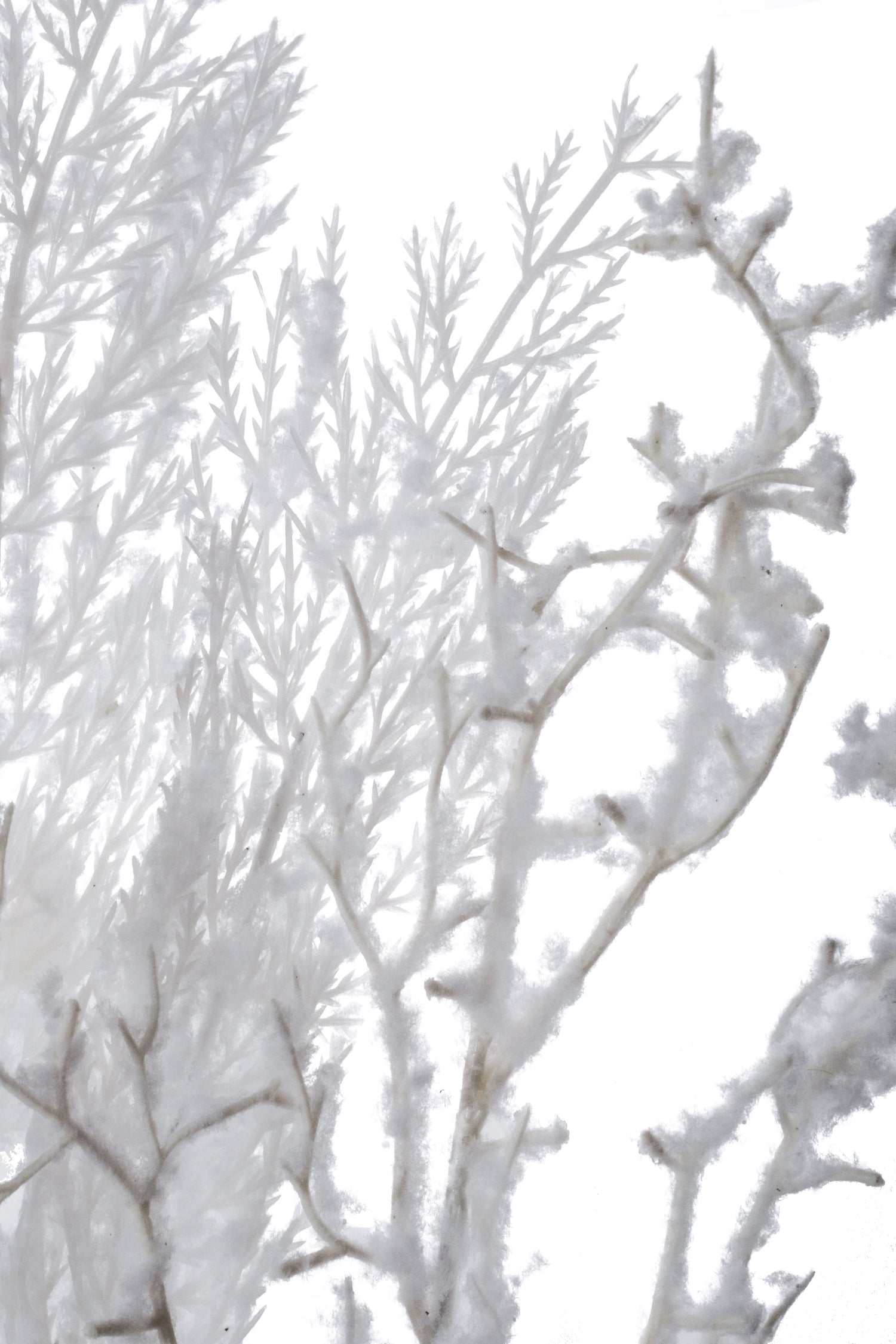 28" Snow Pine Twig Spray White