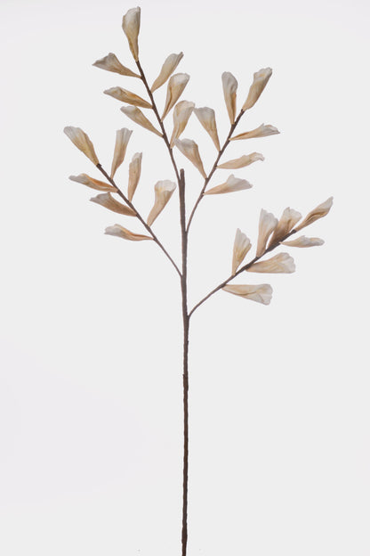 43" Shell Leaf Spray Beige