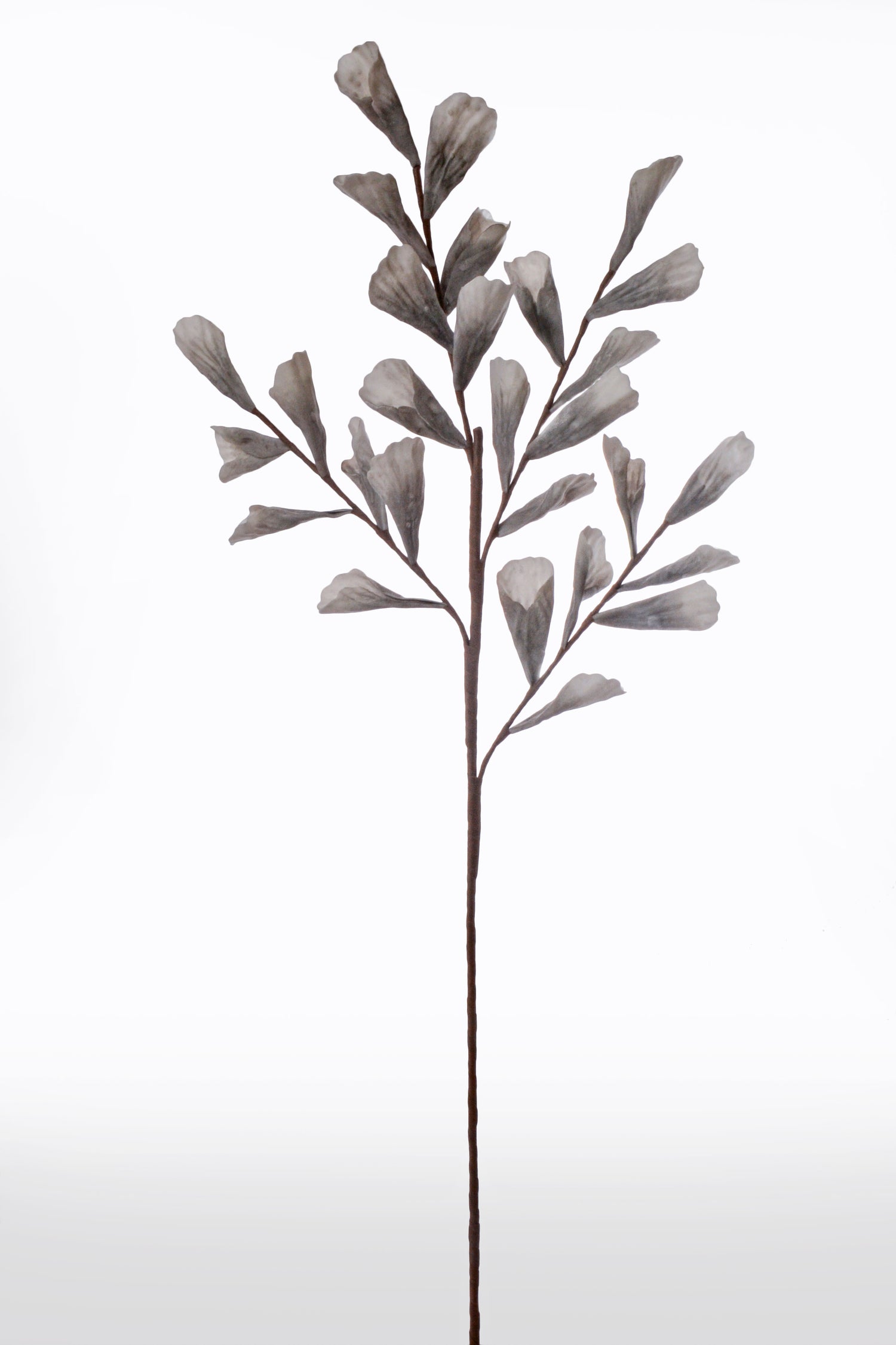 43" Shell Leaf Spray Grey