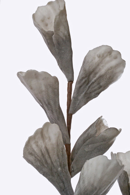 43" Shell Leaf Spray Grey