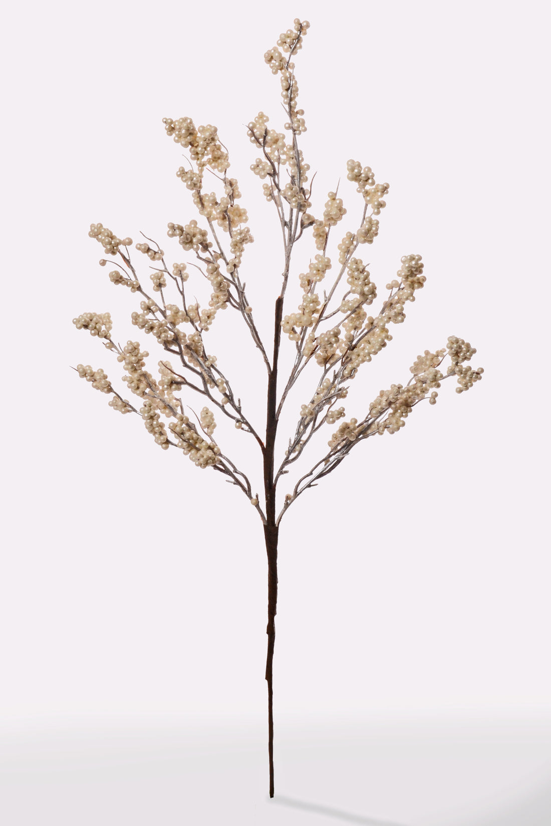 26" Berry Metallic Spray White