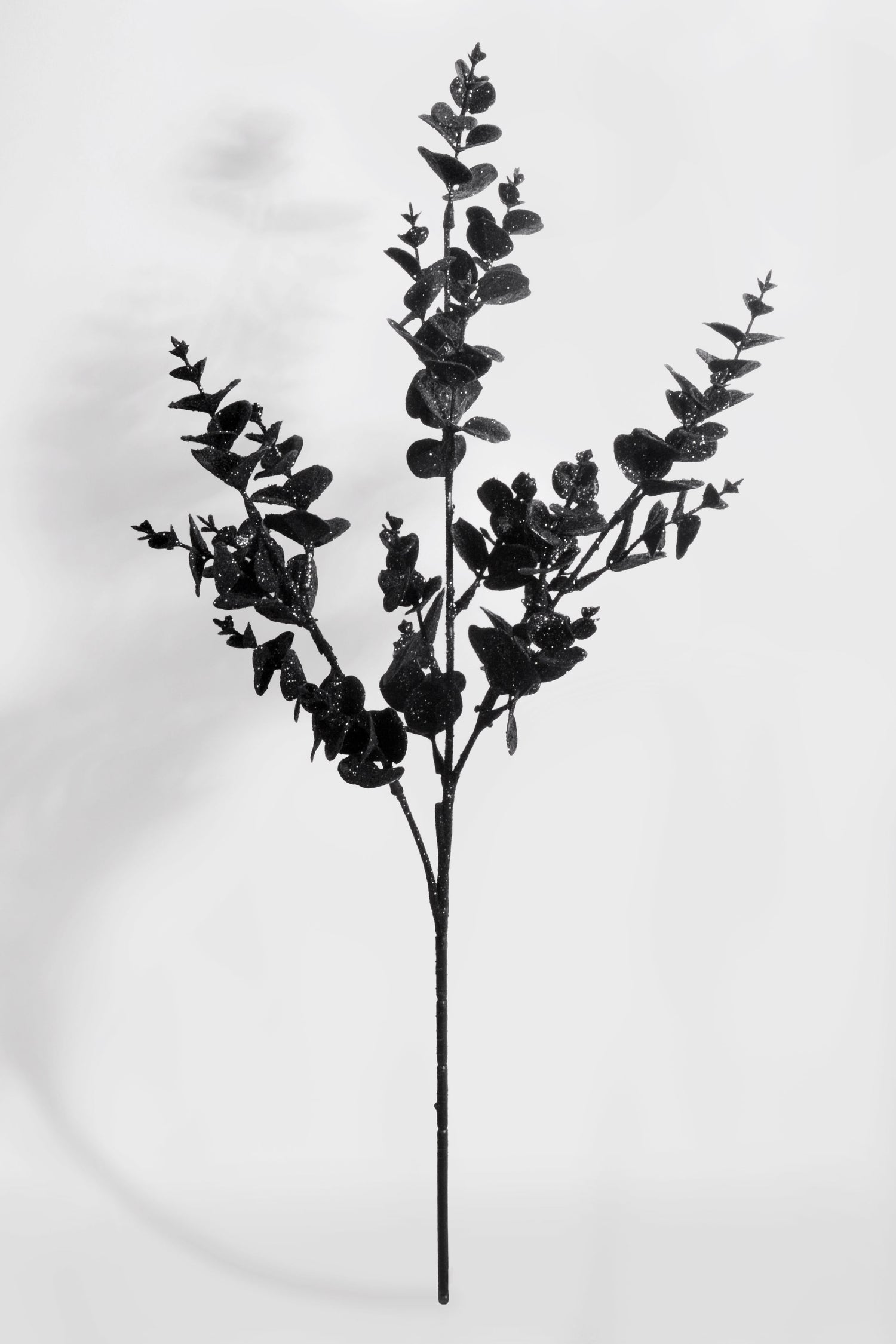 31" Glitter Eucalyptus Spray Black