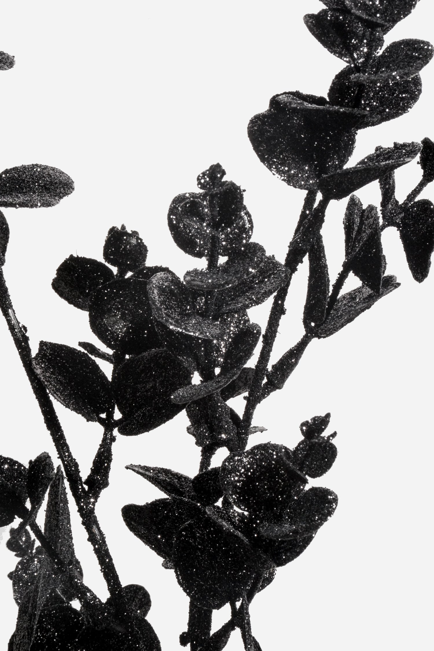 31" Glitter Eucalyptus Spray Black