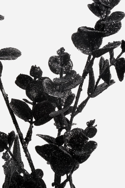 31" Glitter Eucalyptus Spray Black