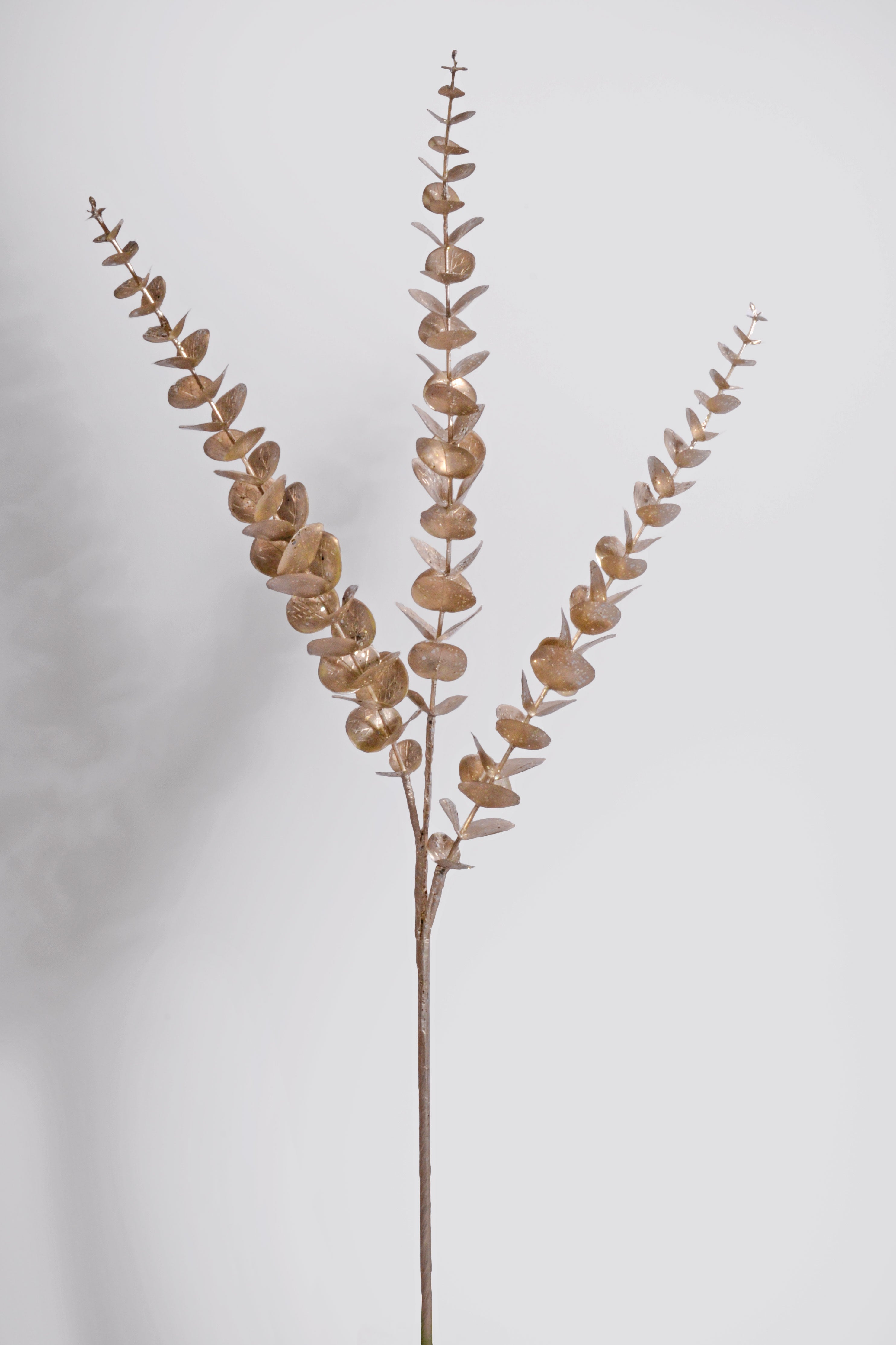 36" Eucalyptus Spray Champagne