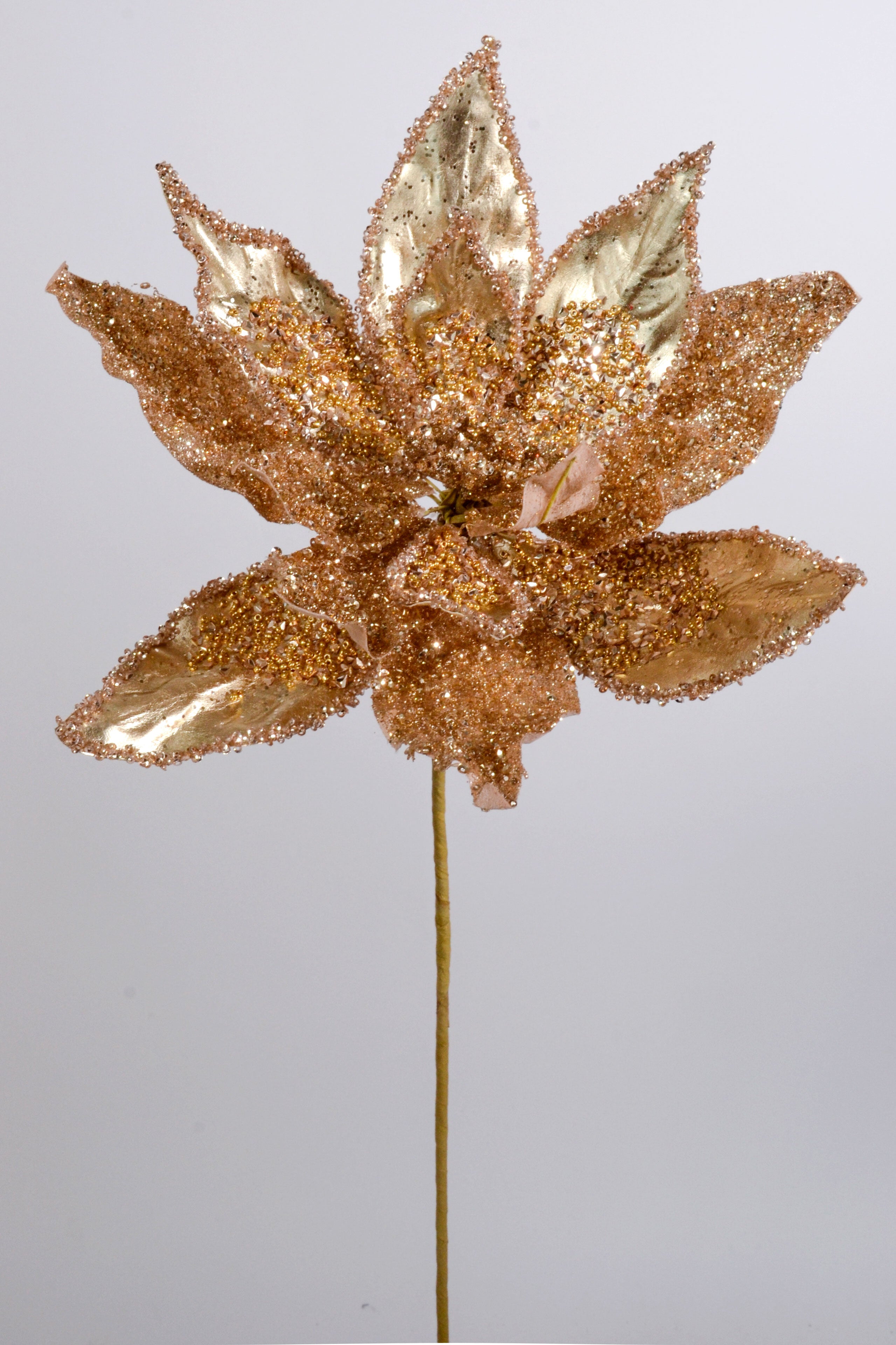 26" Metallic Beaded Poinsettia Stem Champagne