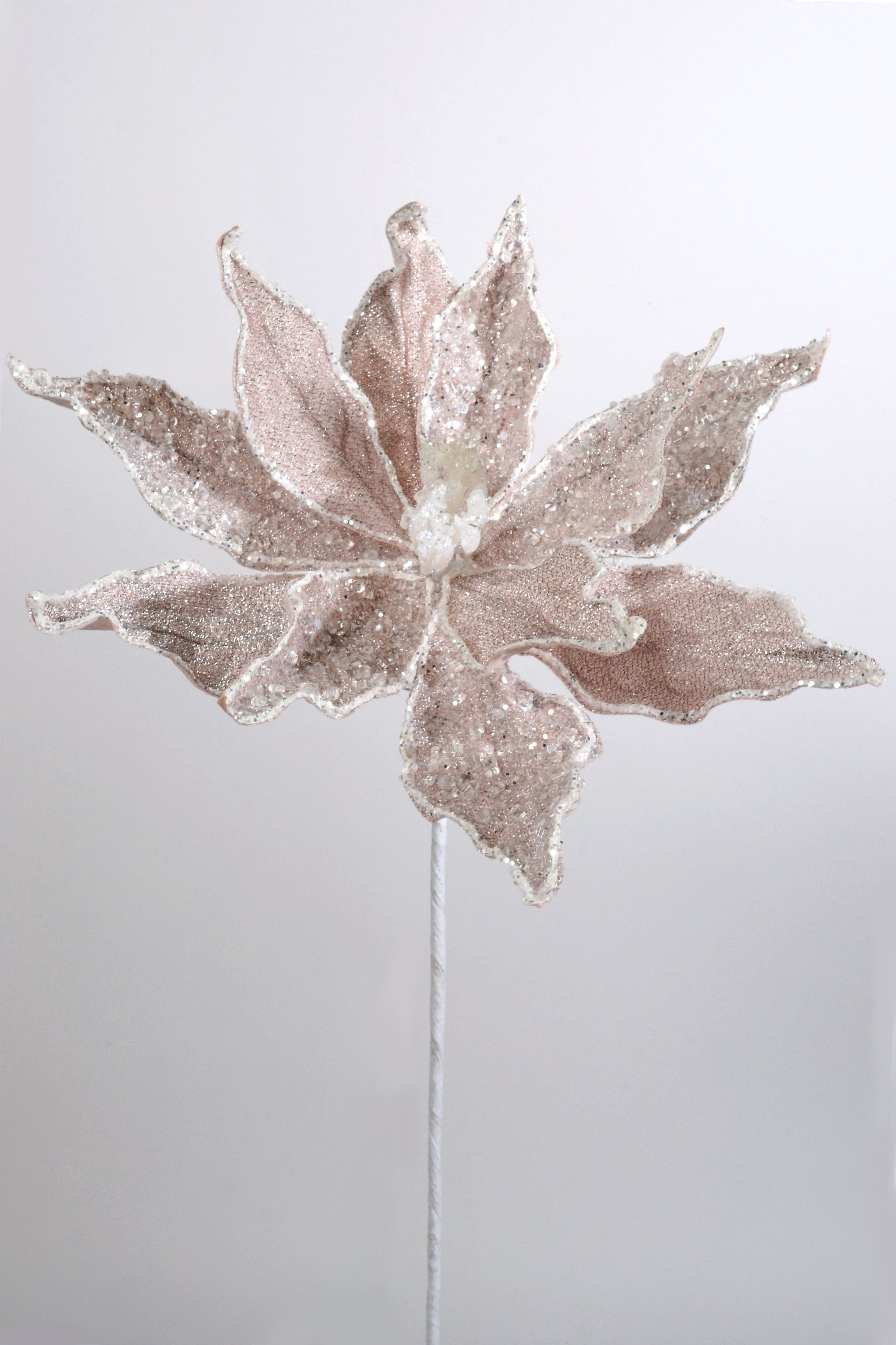 23" Sugared Dessert Poinsettia Stem Blush Pink