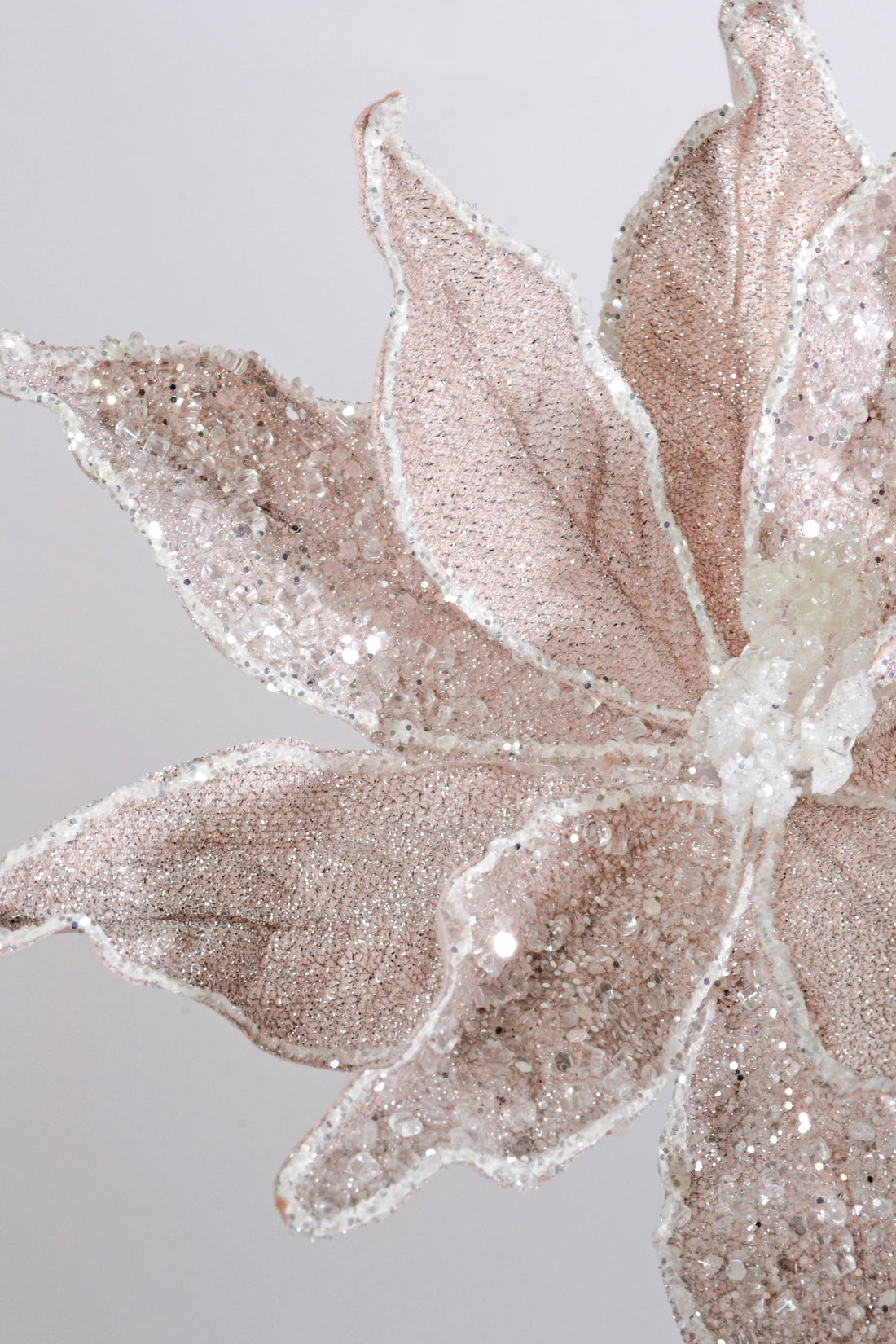 23" Sugared Dessert Poinsettia Stem Blush Pink