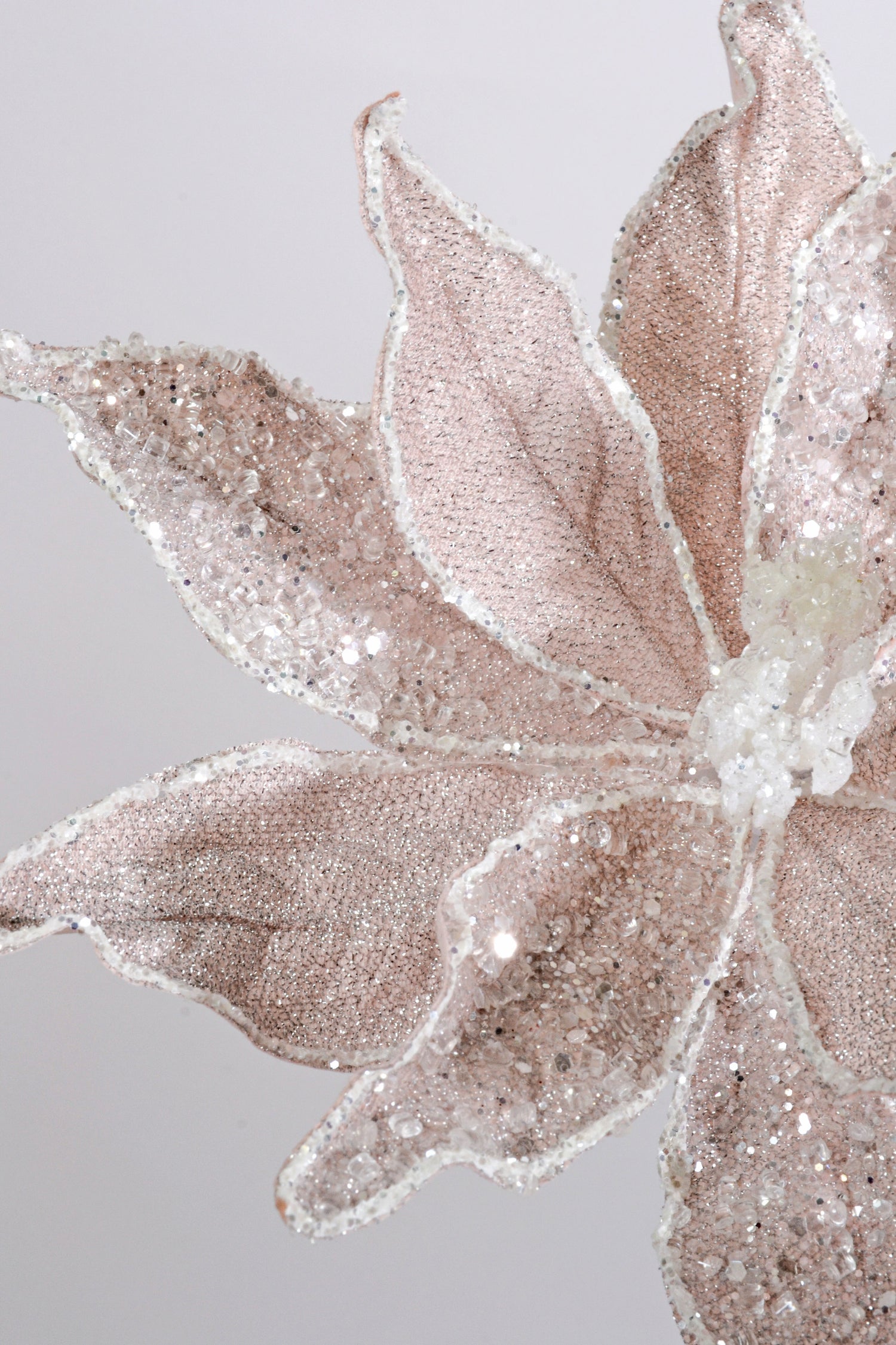 23" Sugared Dessert Poinsettia Stem Blush Pink