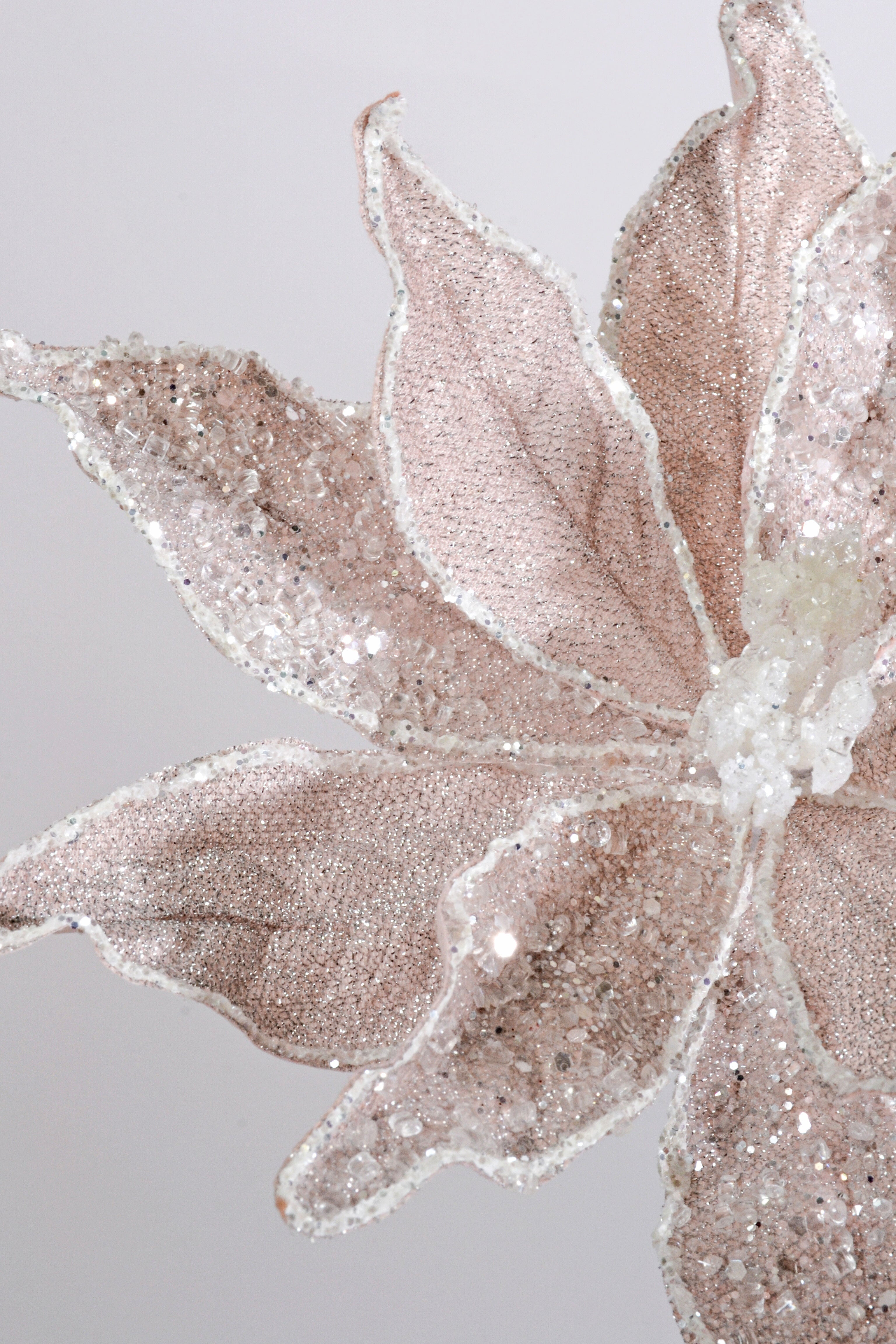 23" Sugared Dessert Poinsettia Stem Blush Pink