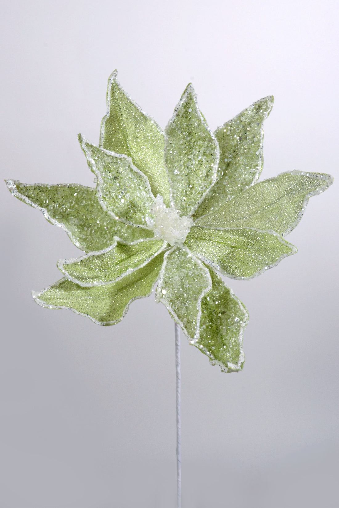 23" Sugared Dessert Poinsettia Stem Mint Green