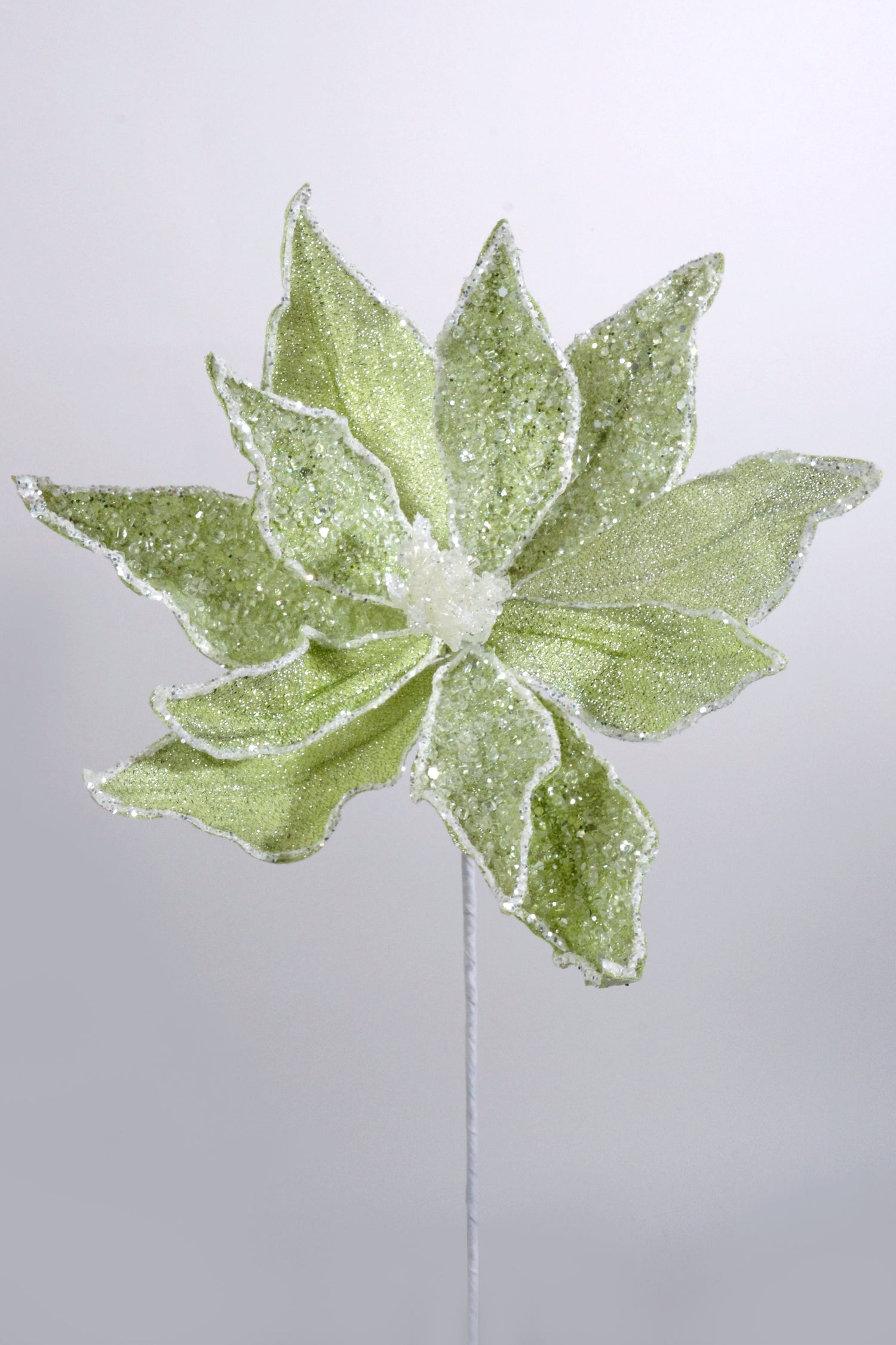 23" Sugared Dessert Poinsettia Stem Mint Green