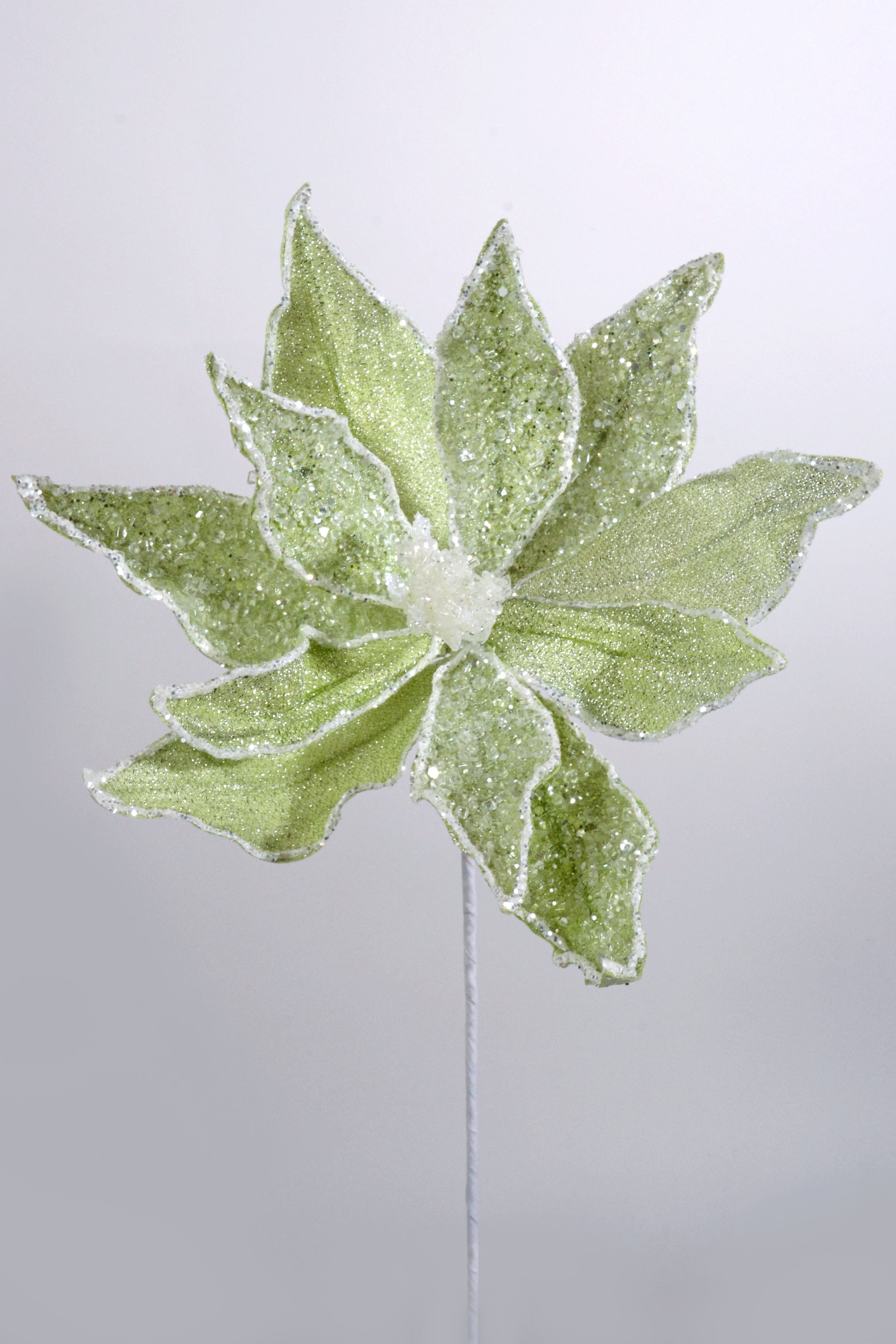 23" Sugared Dessert Poinsettia Stem Mint Green
