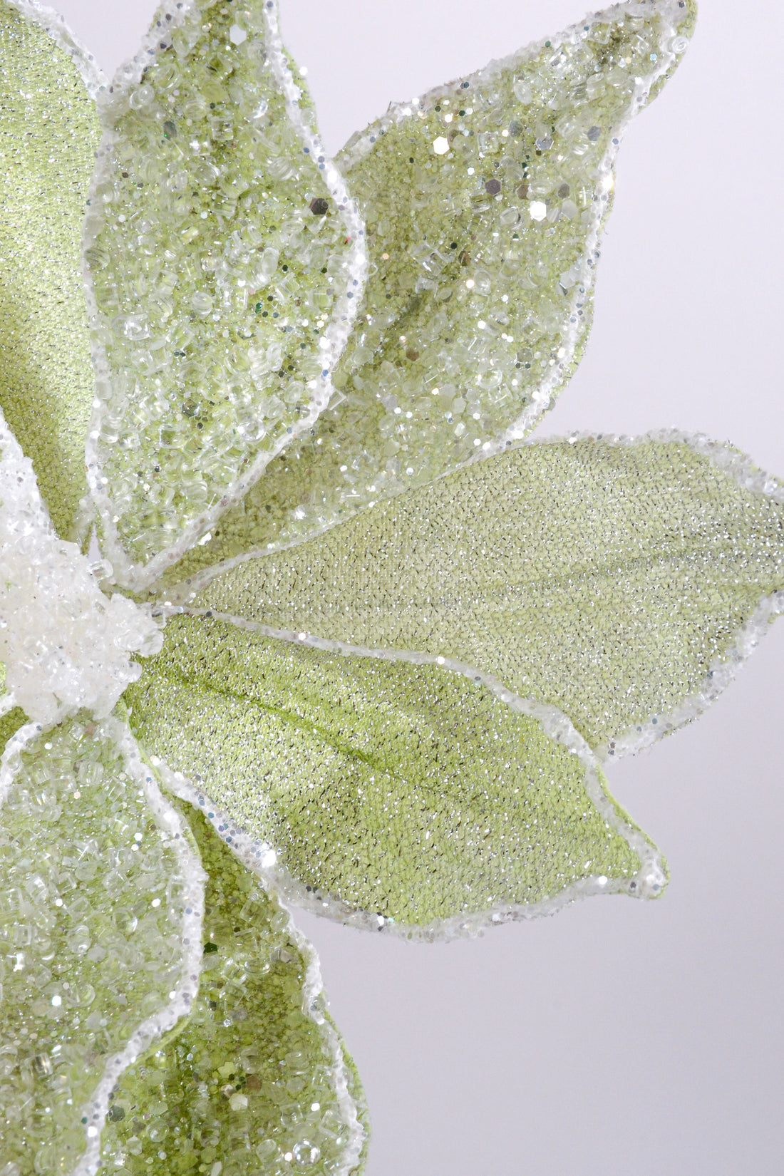 23" Sugared Dessert Poinsettia Stem Mint Green