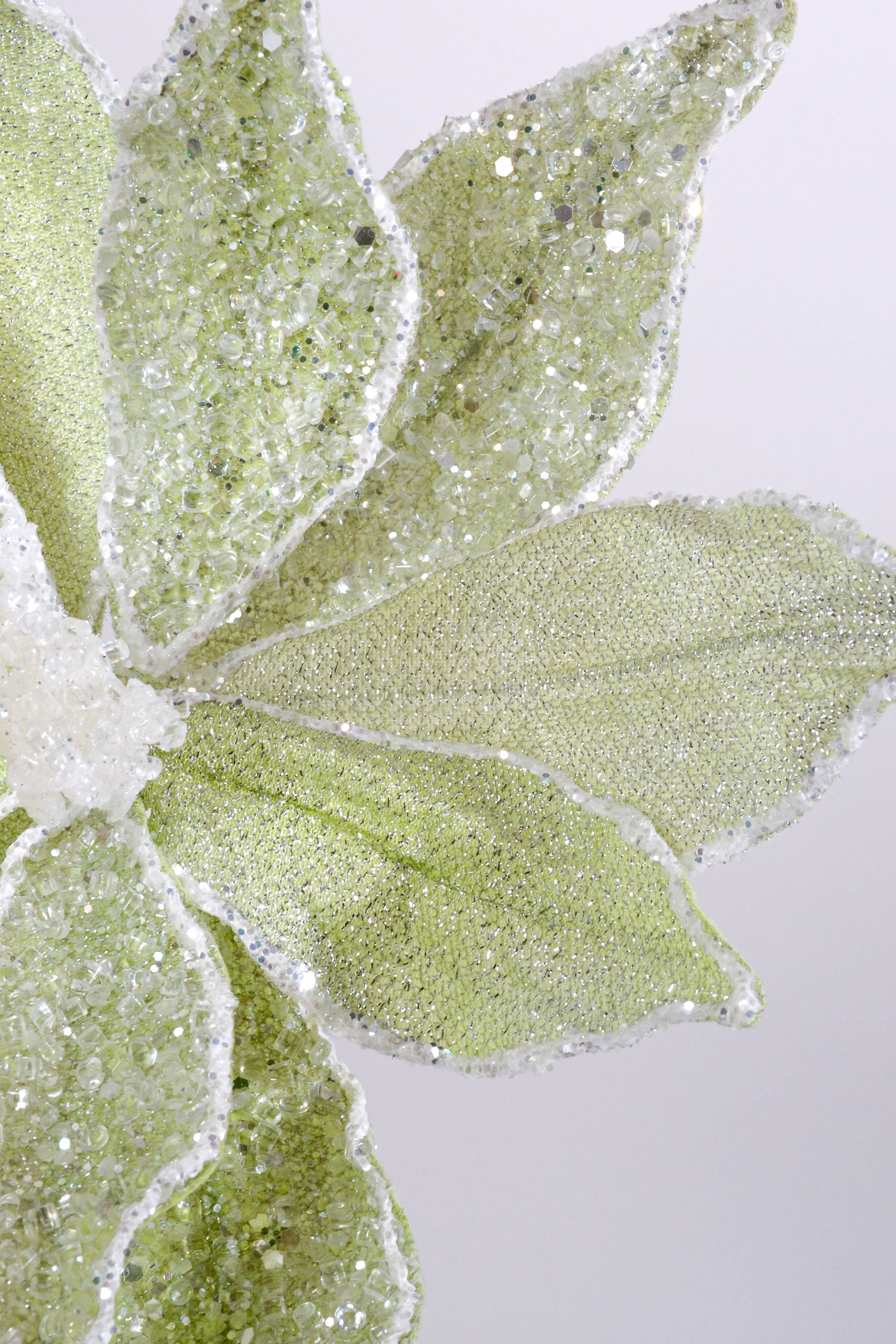 23" Sugared Dessert Poinsettia Stem Mint Green