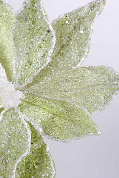 23" Sugared Dessert Poinsettia Stem Mint Green