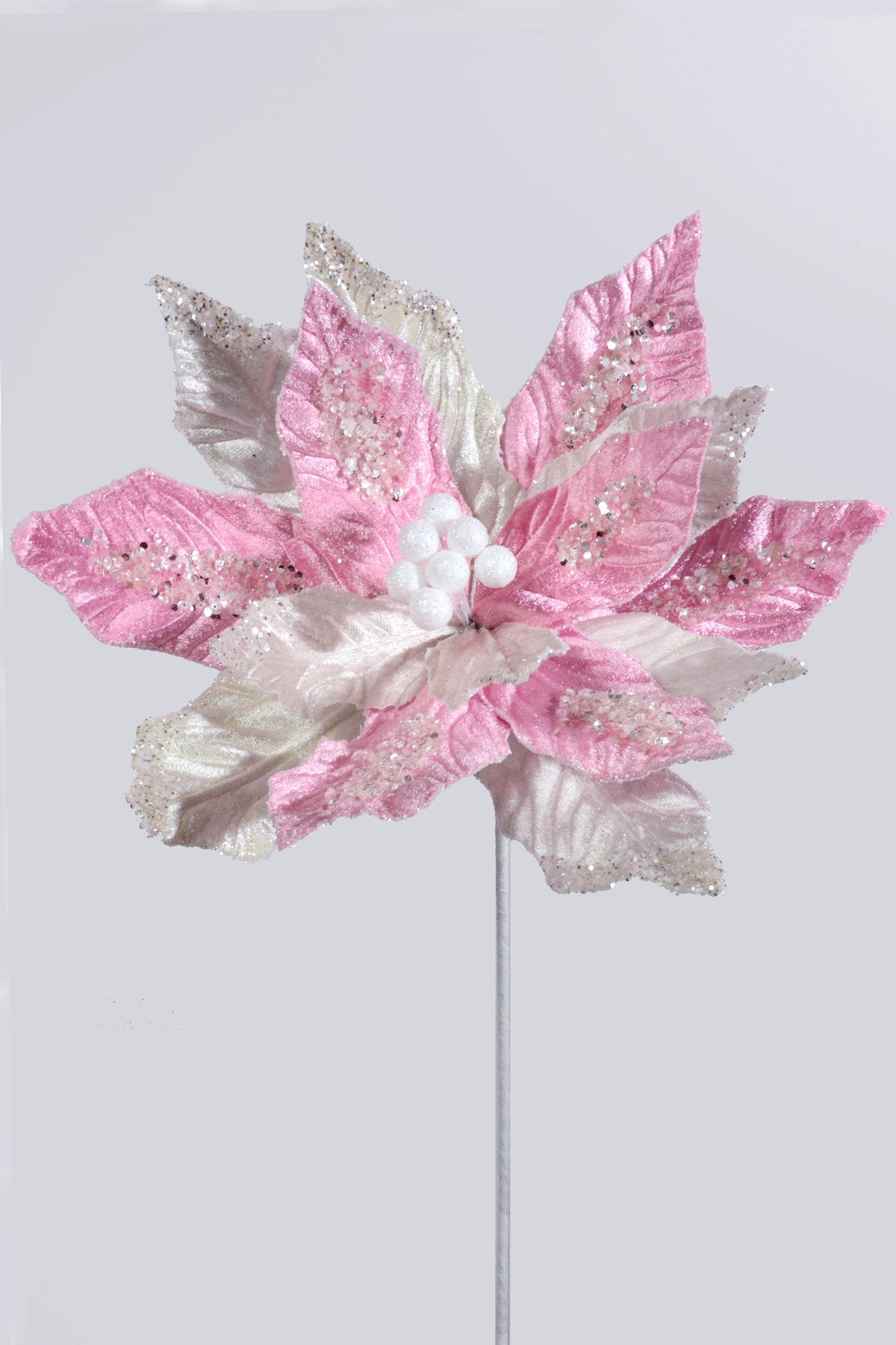 25" Sugared Glitter Poinsettia Stem Pink/Cream