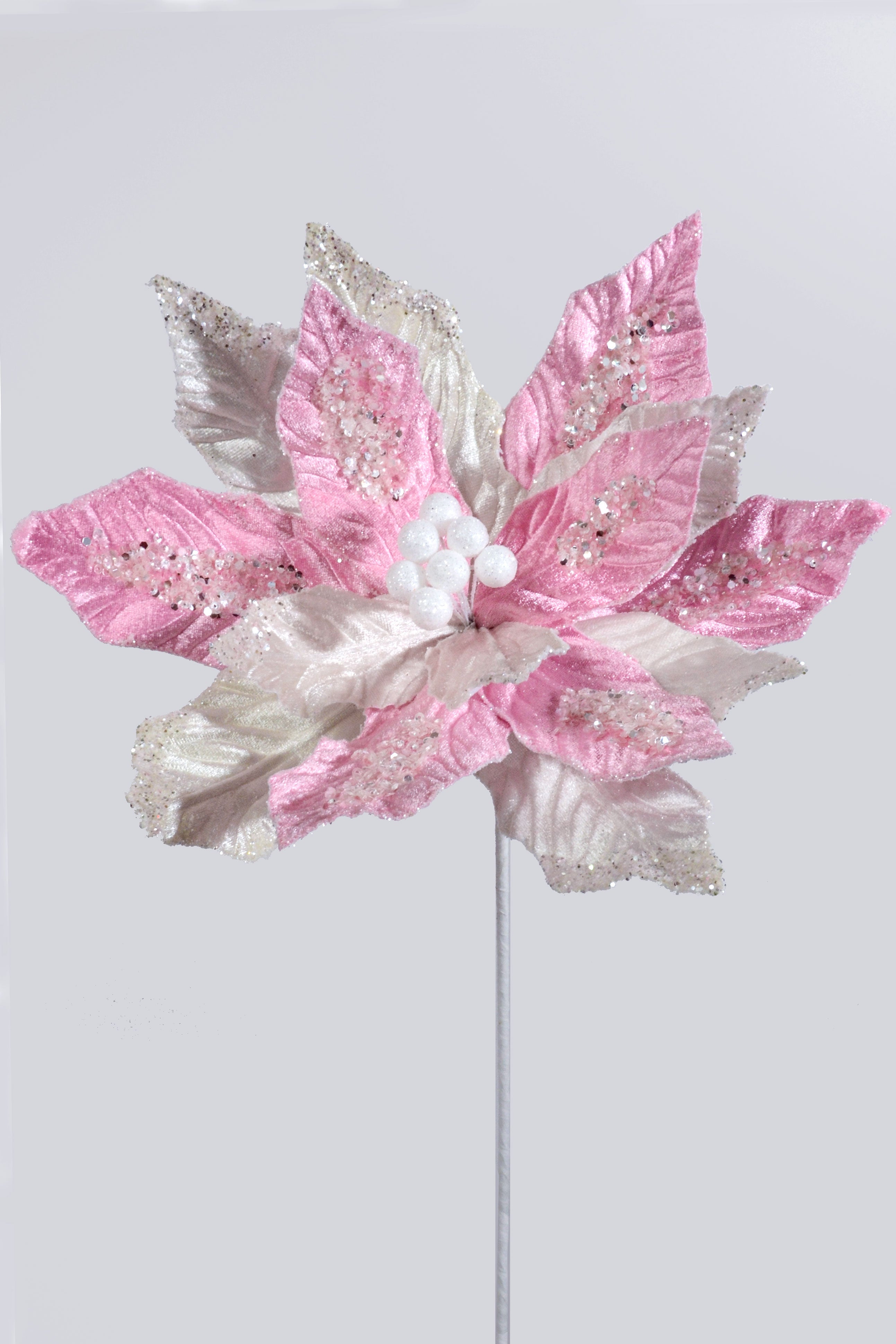 25" Sugared Glitter Poinsettia Stem Pink/Cream