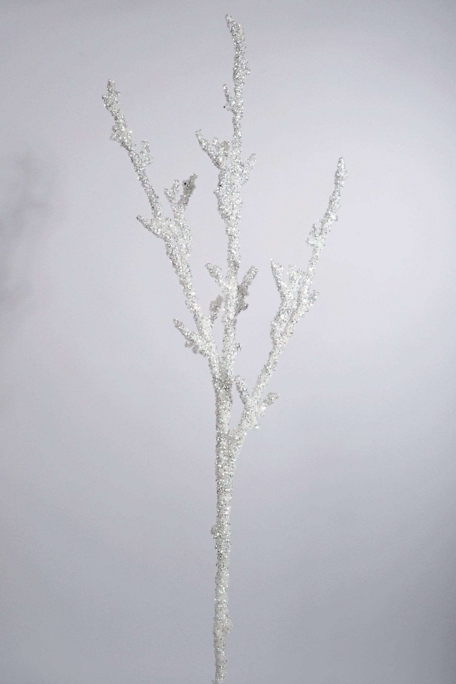 36" Iced Garden Branch White