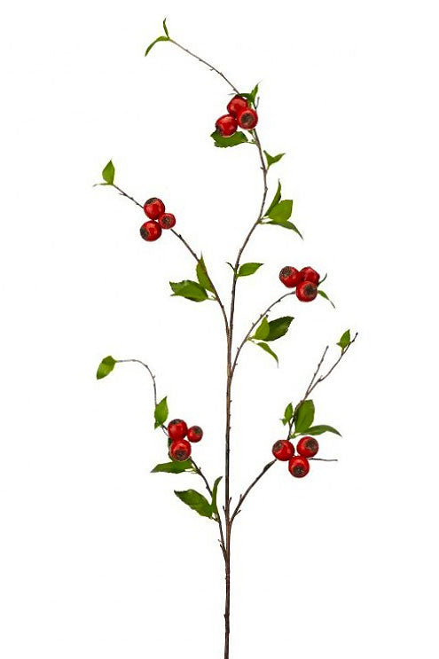 54" Northern Berry Spray Green/Red