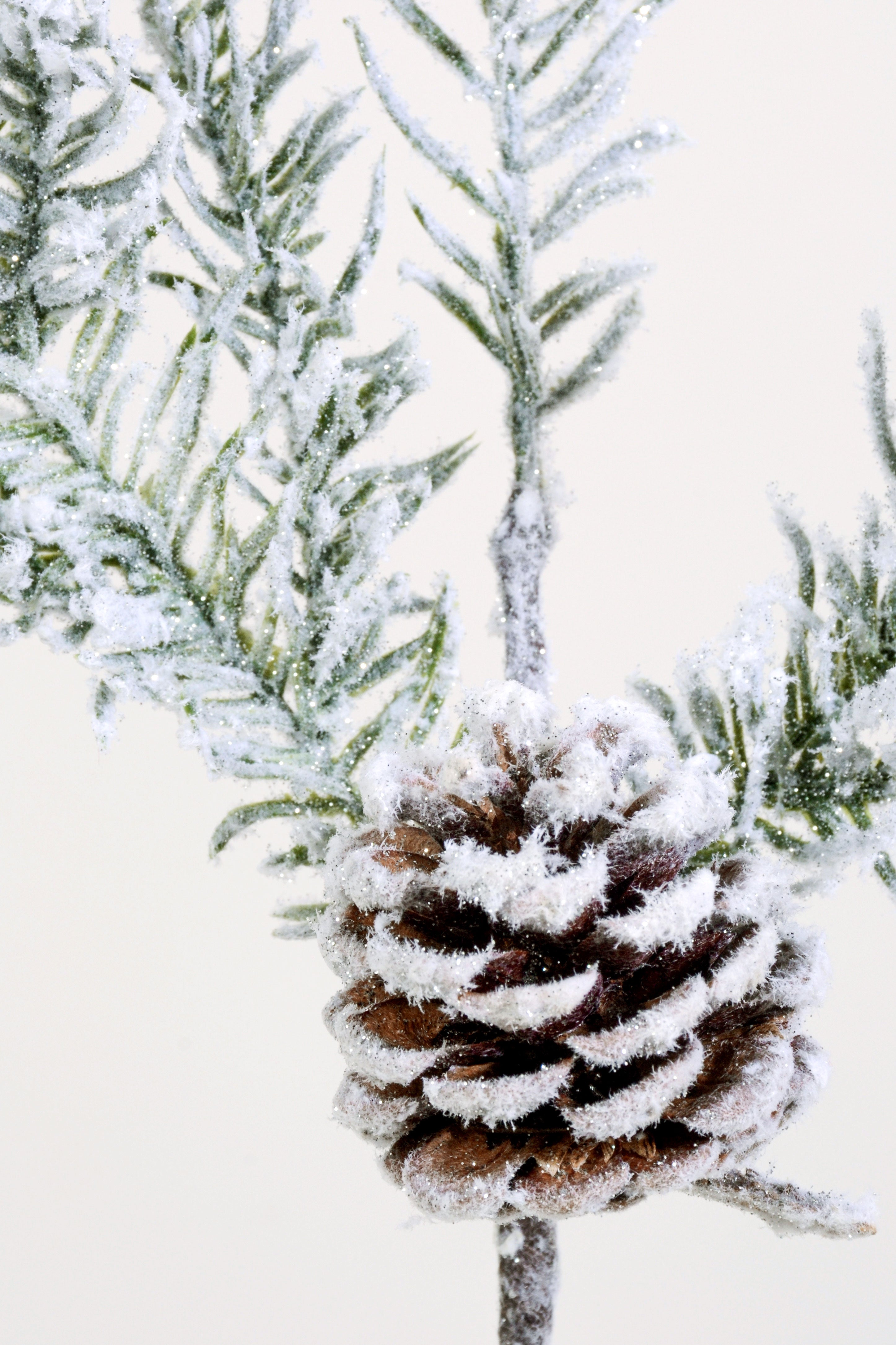 19" Snow Noble Fir Spray Green/White