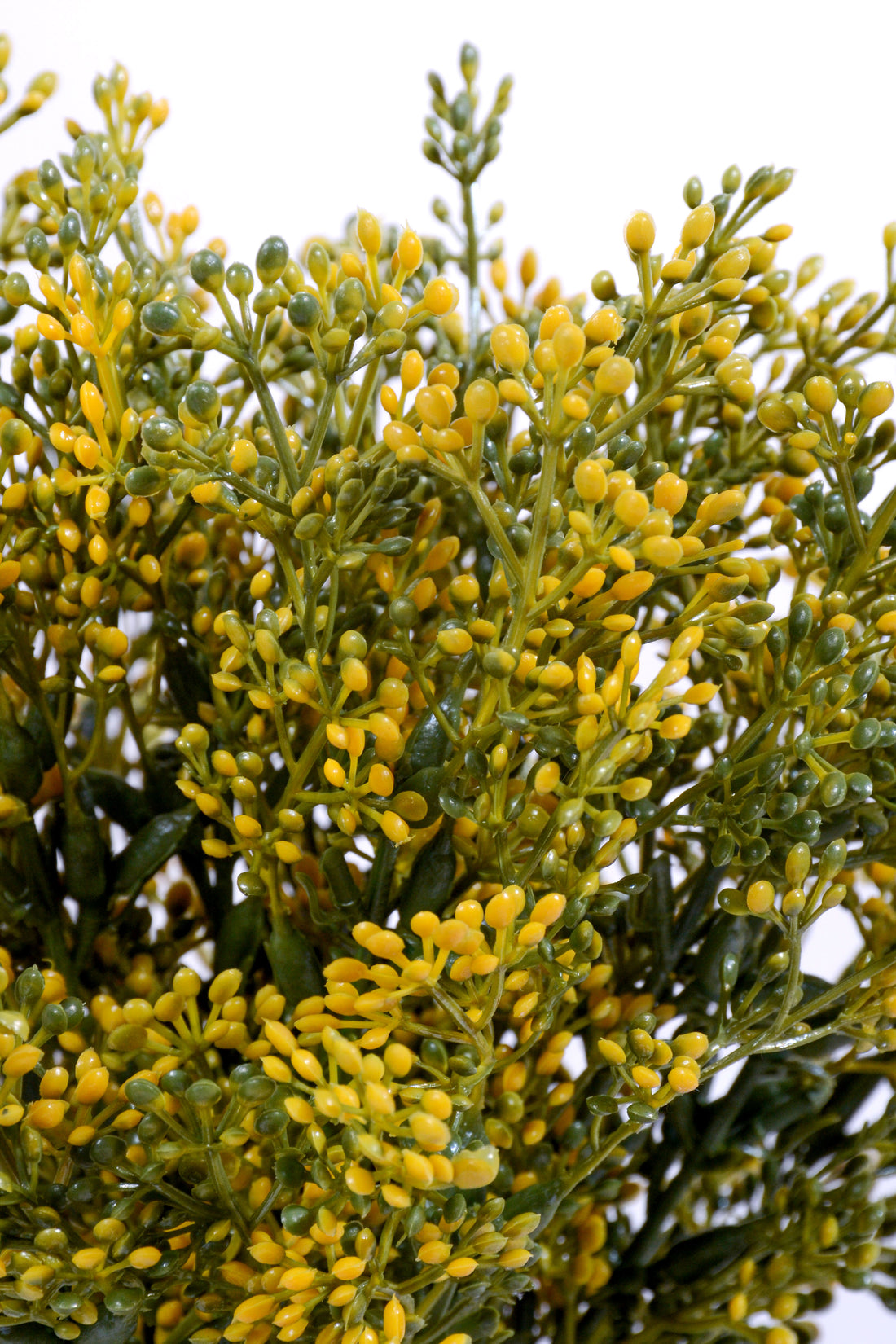 13.5&quot; Boxwood Flower Bush Yellow