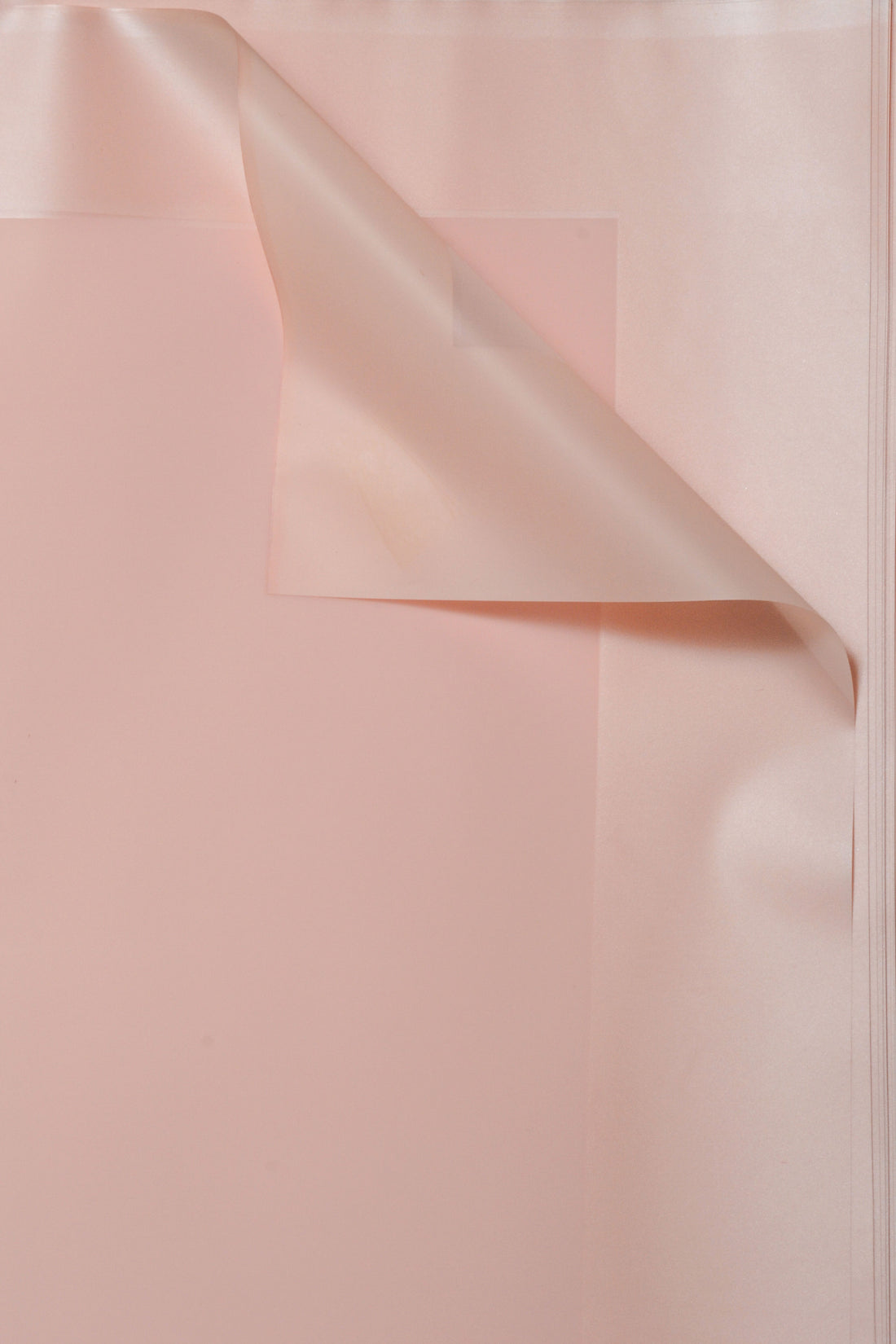 22.5" Flower Wrapping Paper With Edge Pink Pkg/20