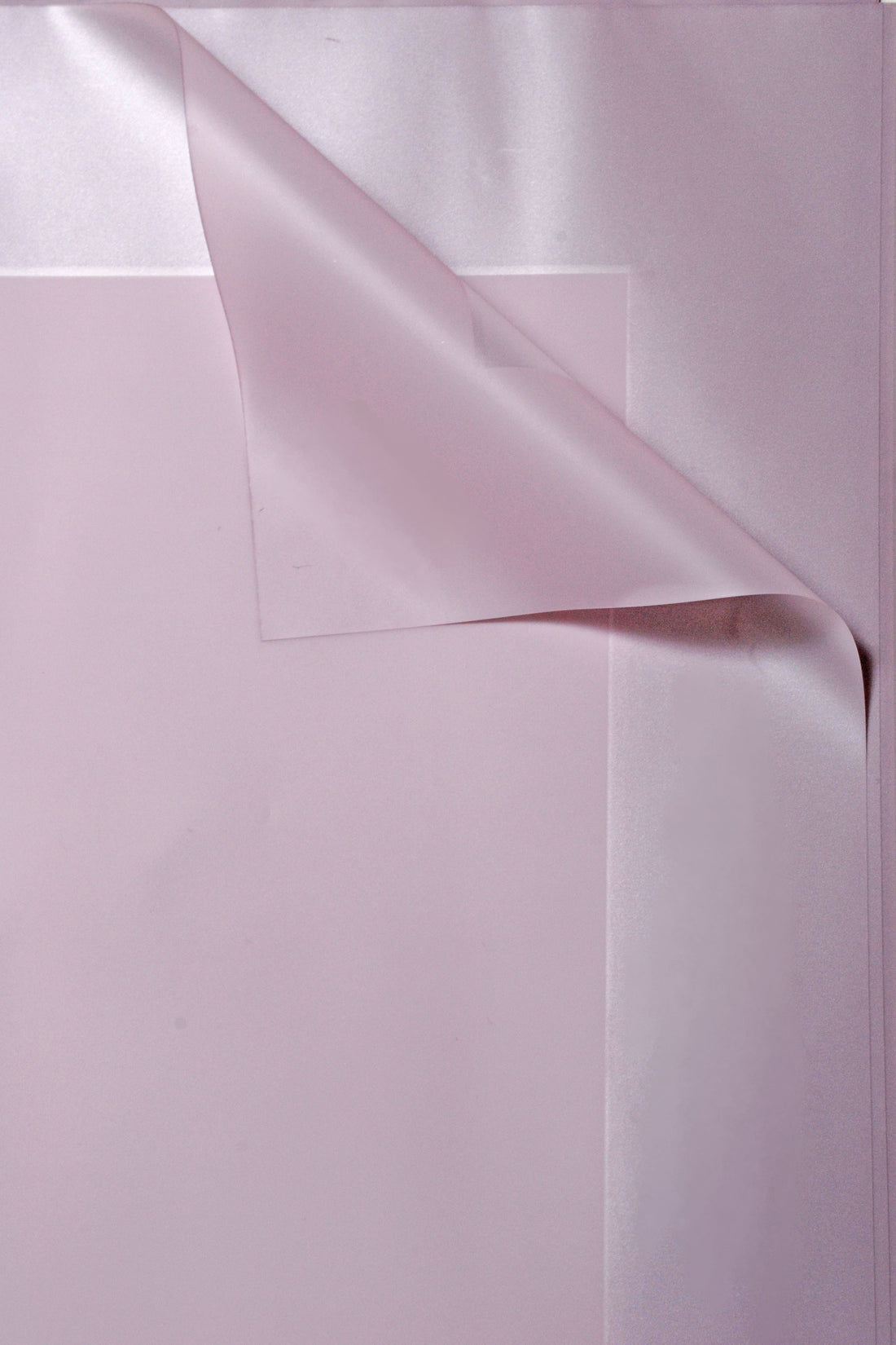 22.5" Flower Wrapping Paper With Edge Lavender Pkg/20