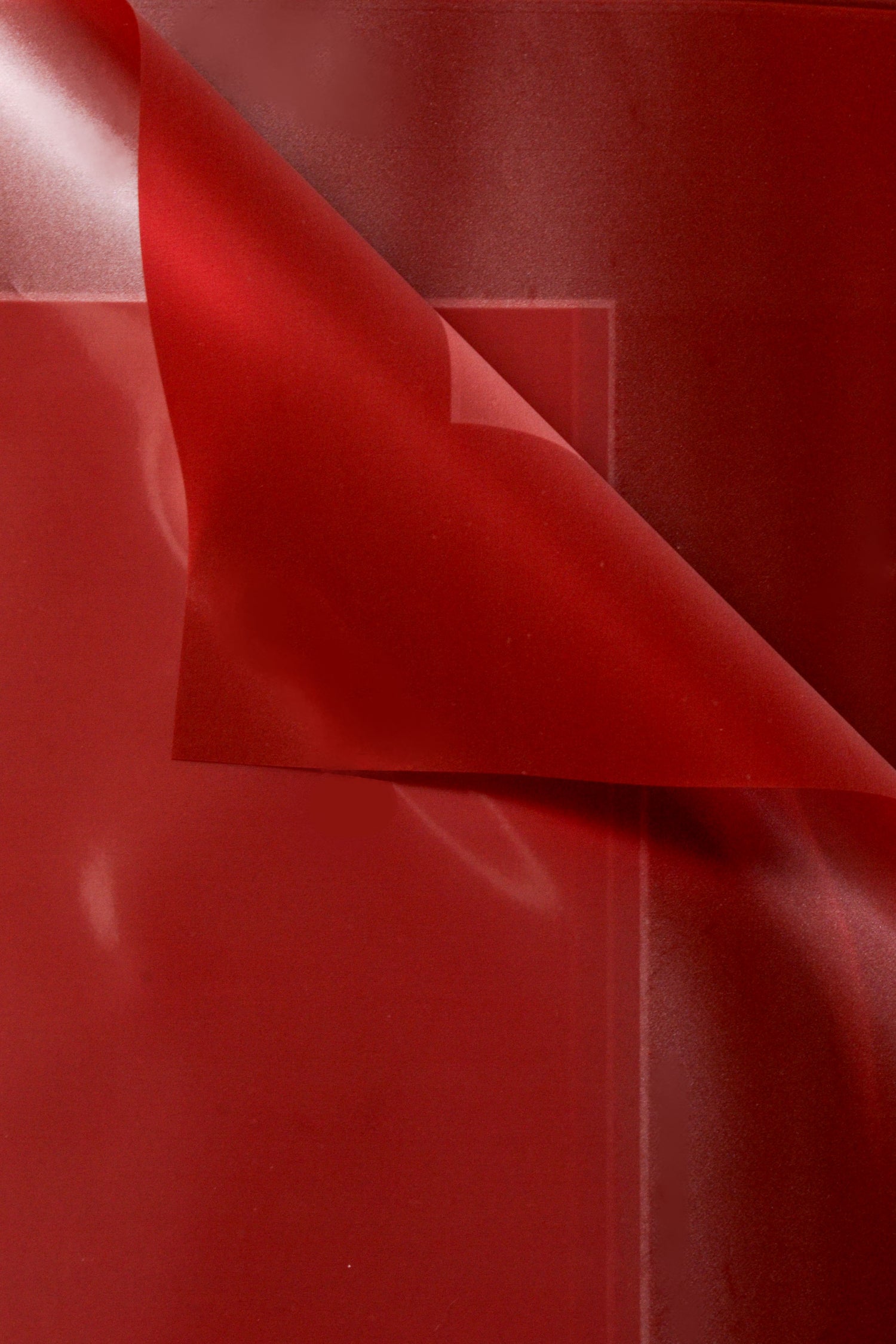 22.5" Flower Wrapping Paper With Edge Burgundy Pkg/20