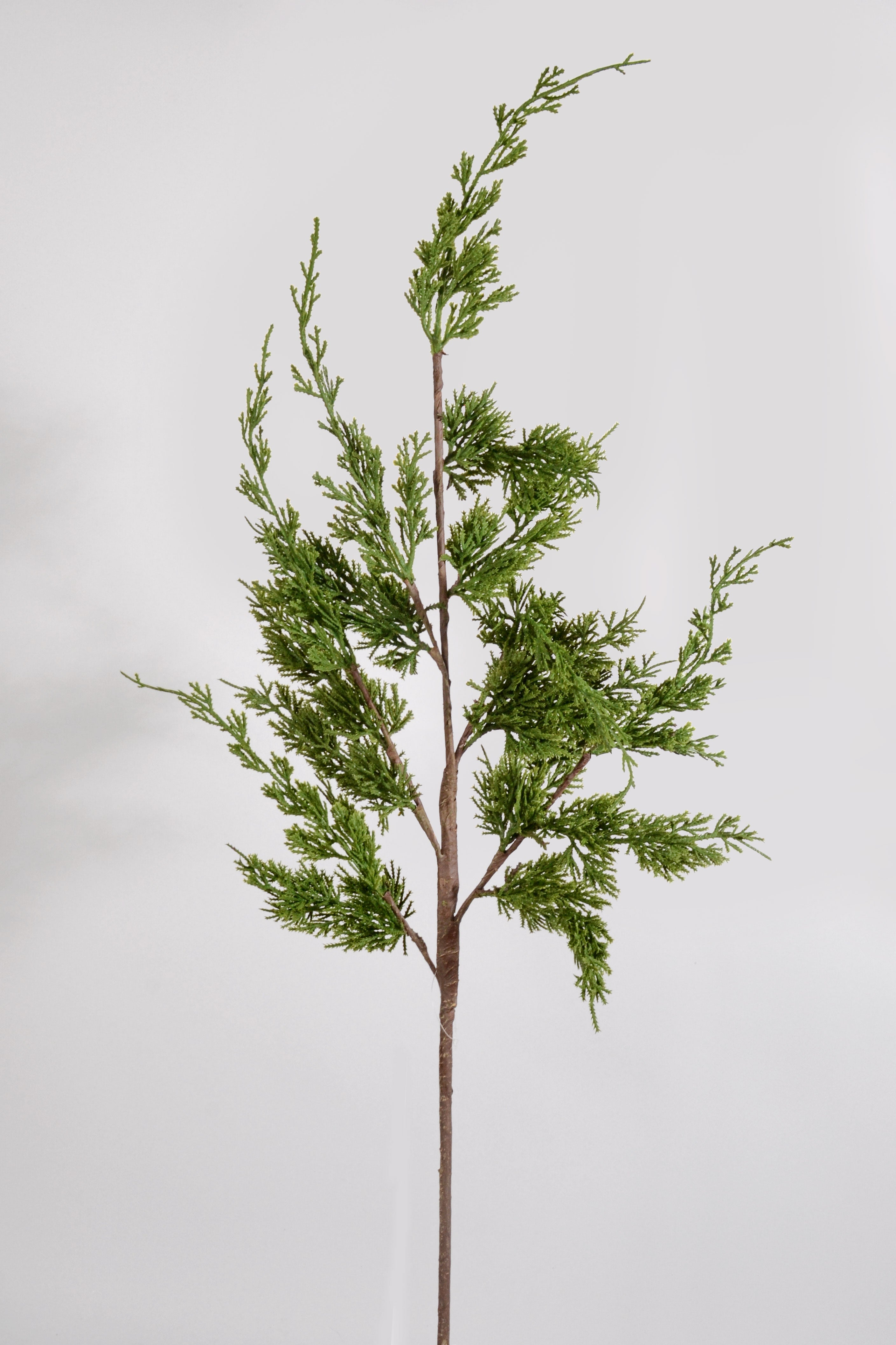 38" Real Touch Cyprus Spray Natural/Green