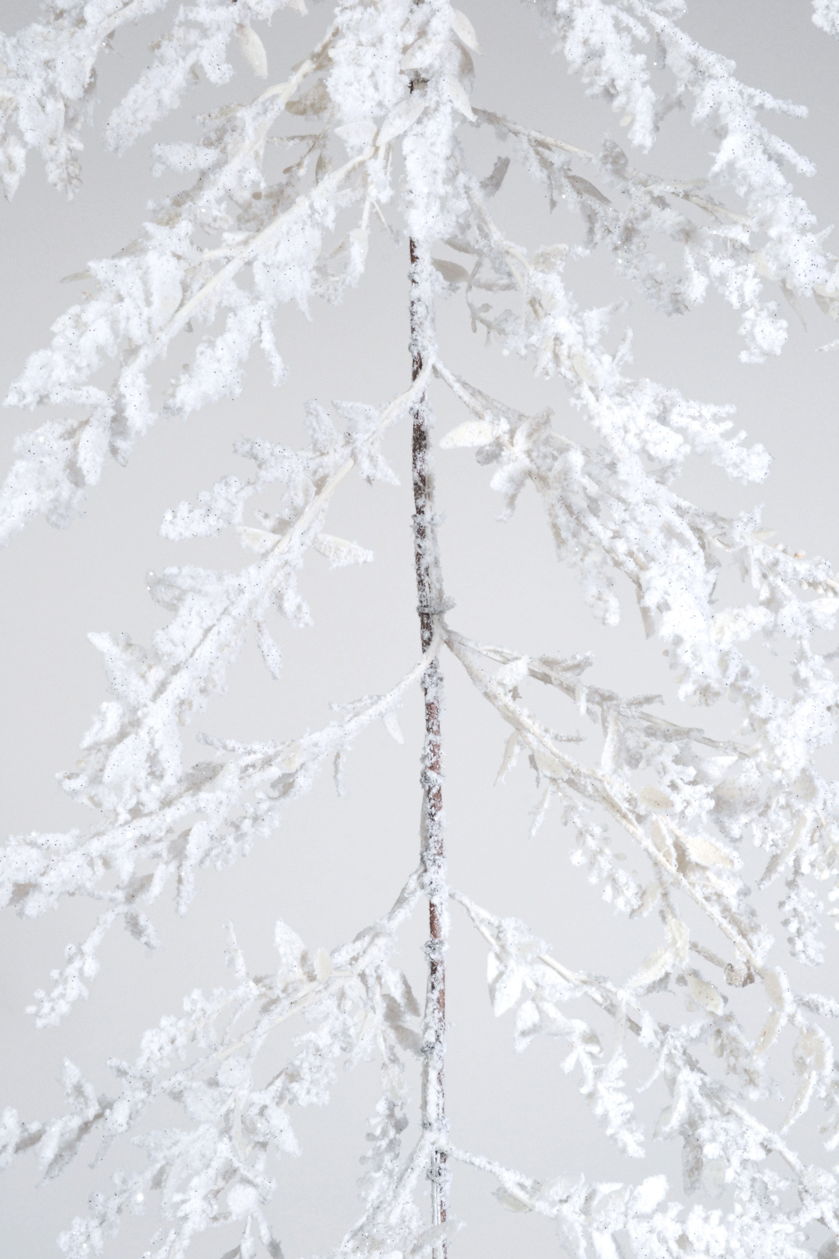 57" Frosted Cedar Garland White