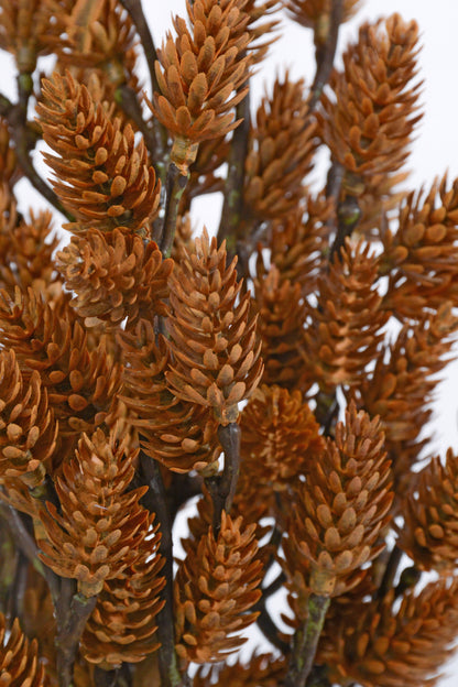 15" Artificial Pinecone Bush Brown