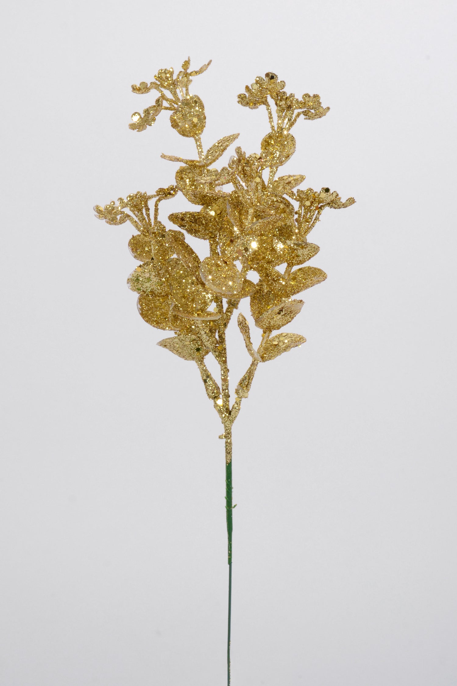 10" Eucalyptus Pick PKG12 Gold