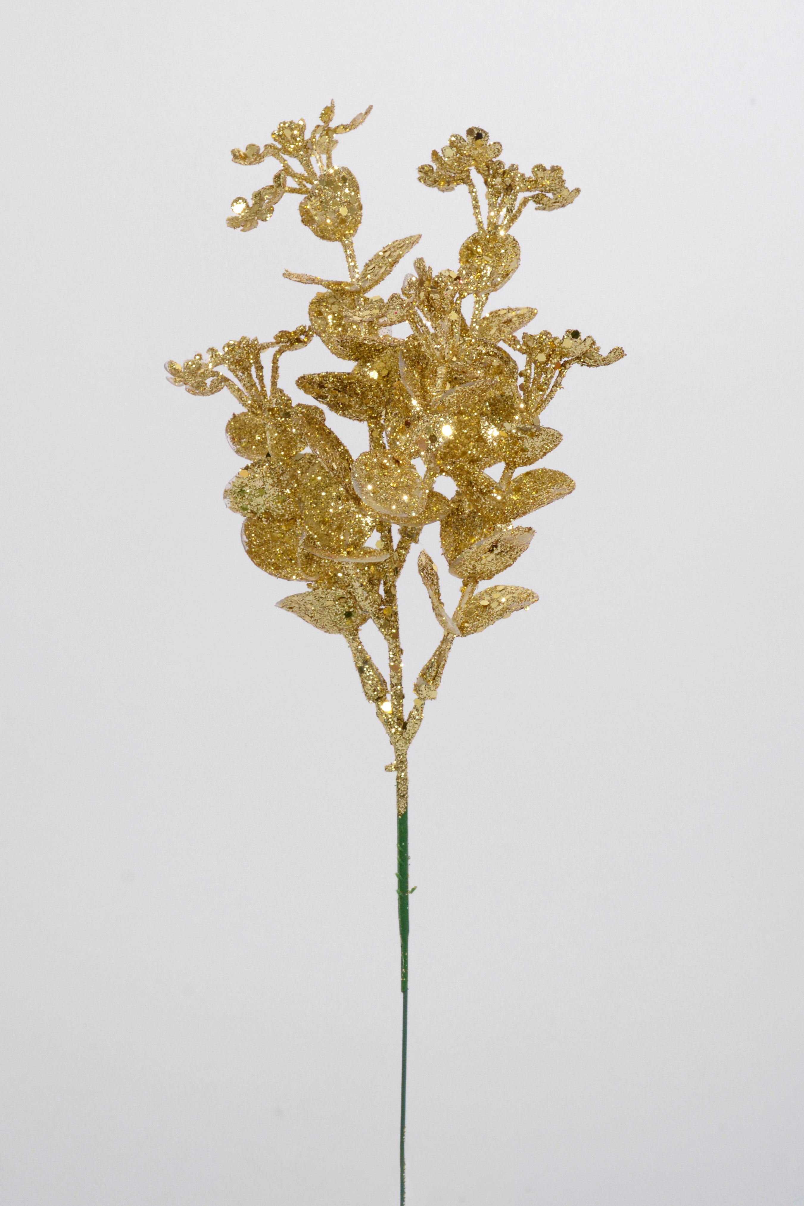 10" Eucalyptus Pick PKG12 Gold