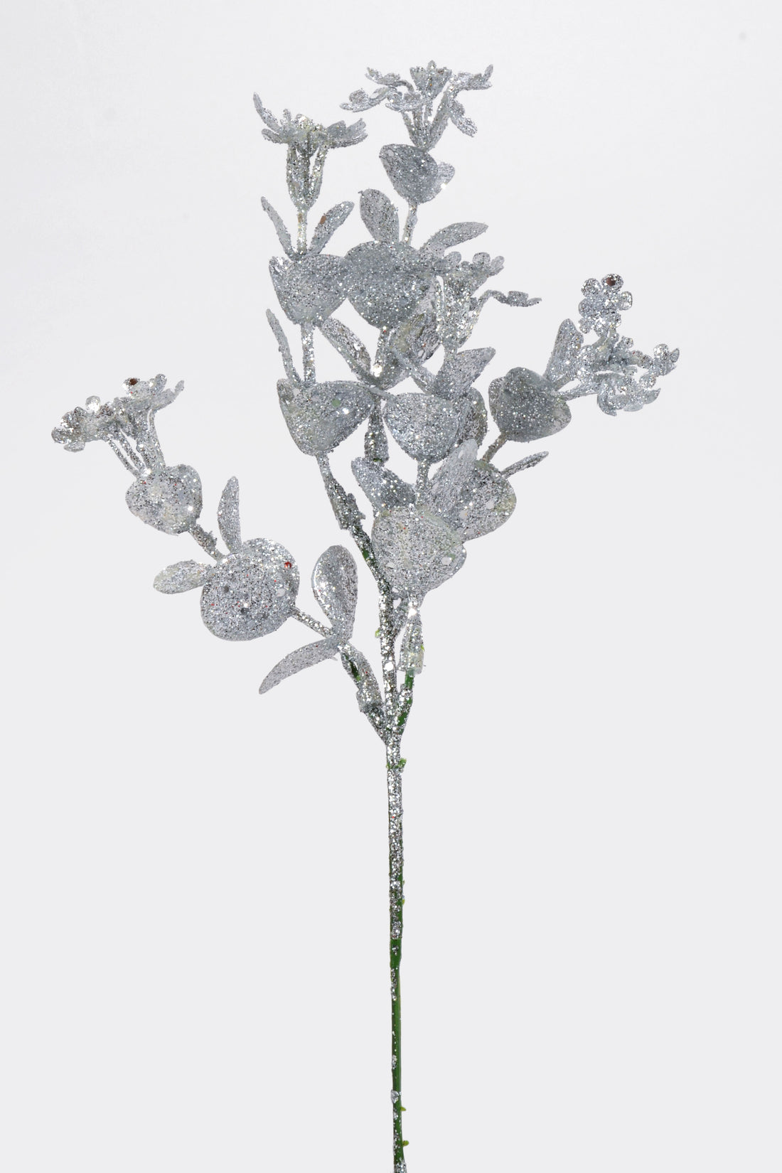 10" Eucalyptus Pick  PKG12 Silver