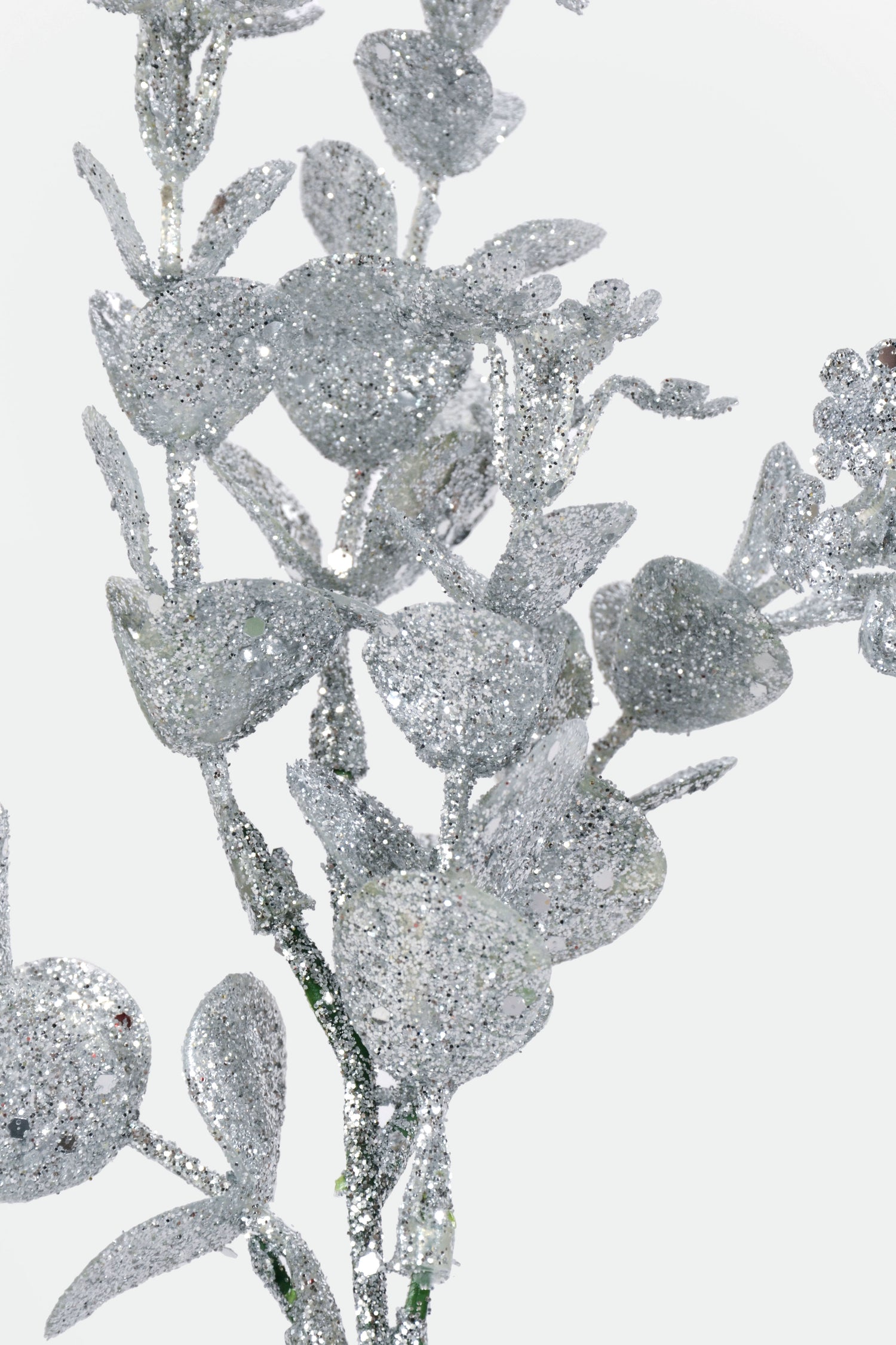 10" Eucalyptus Pick  PKG12 Silver