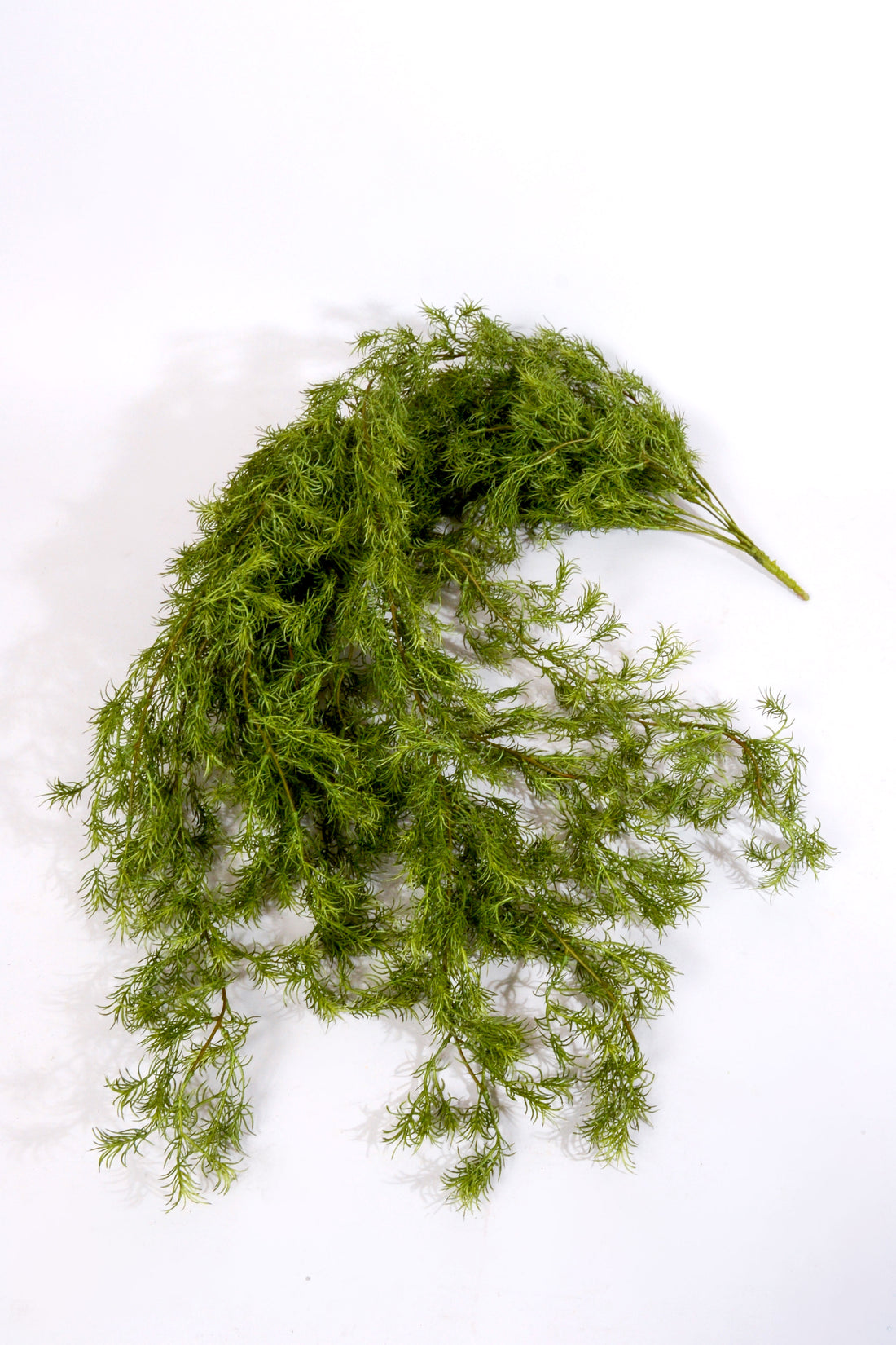 46&quot; Hanging  Springer Vine Green