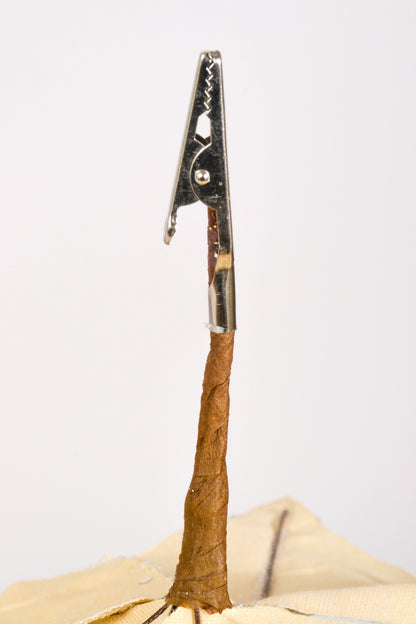 9" Poinsettia Pick Gold