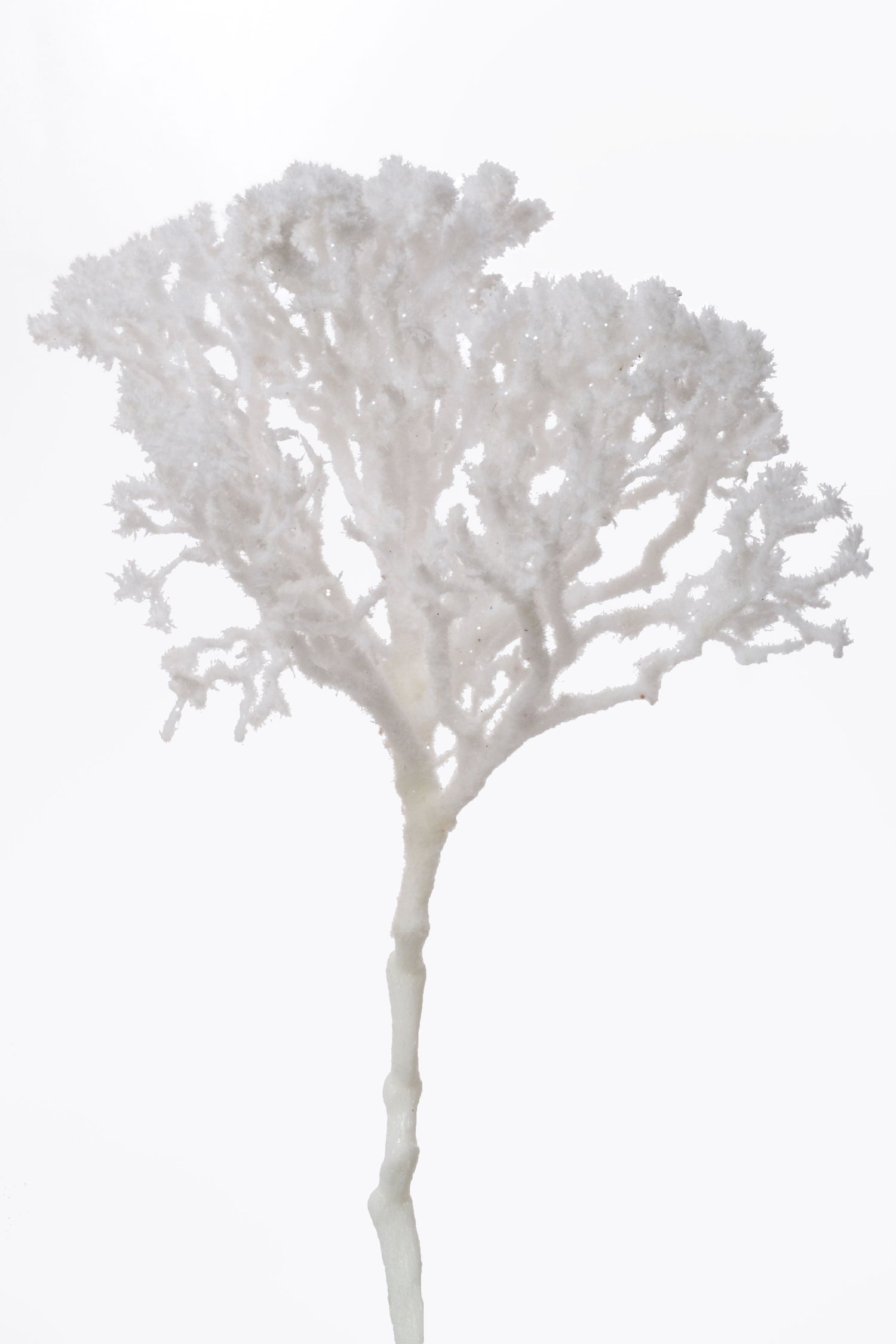 14" Snowed Branch White